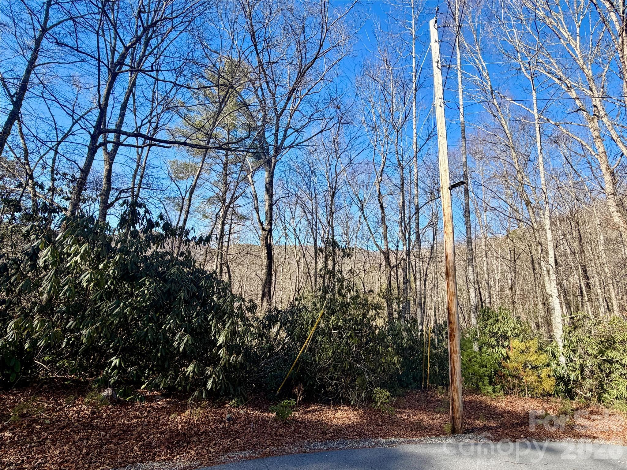 Lot at Brevard, photo 7 of 20
