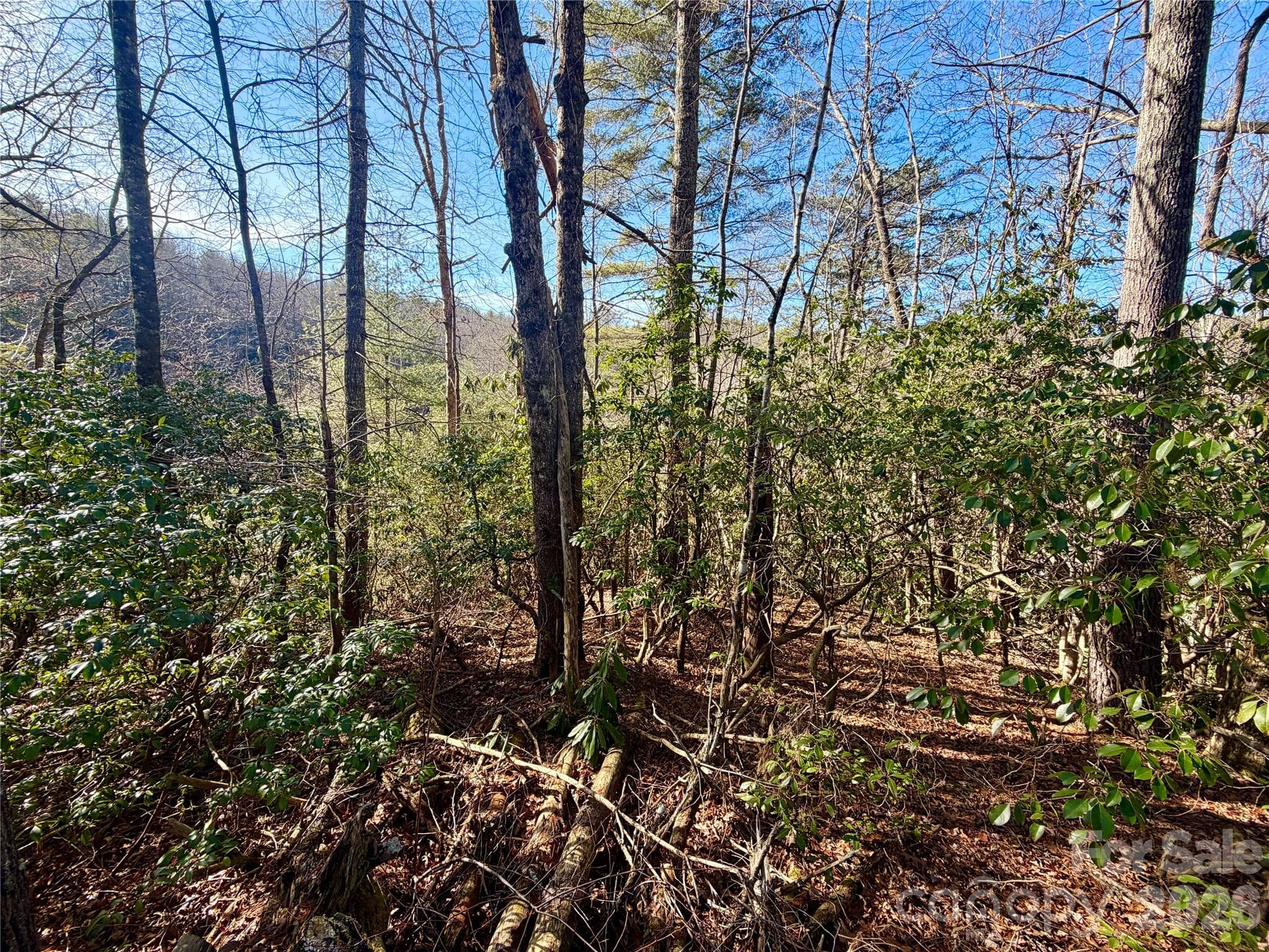 Lot at Brevard, photo 8 of 20