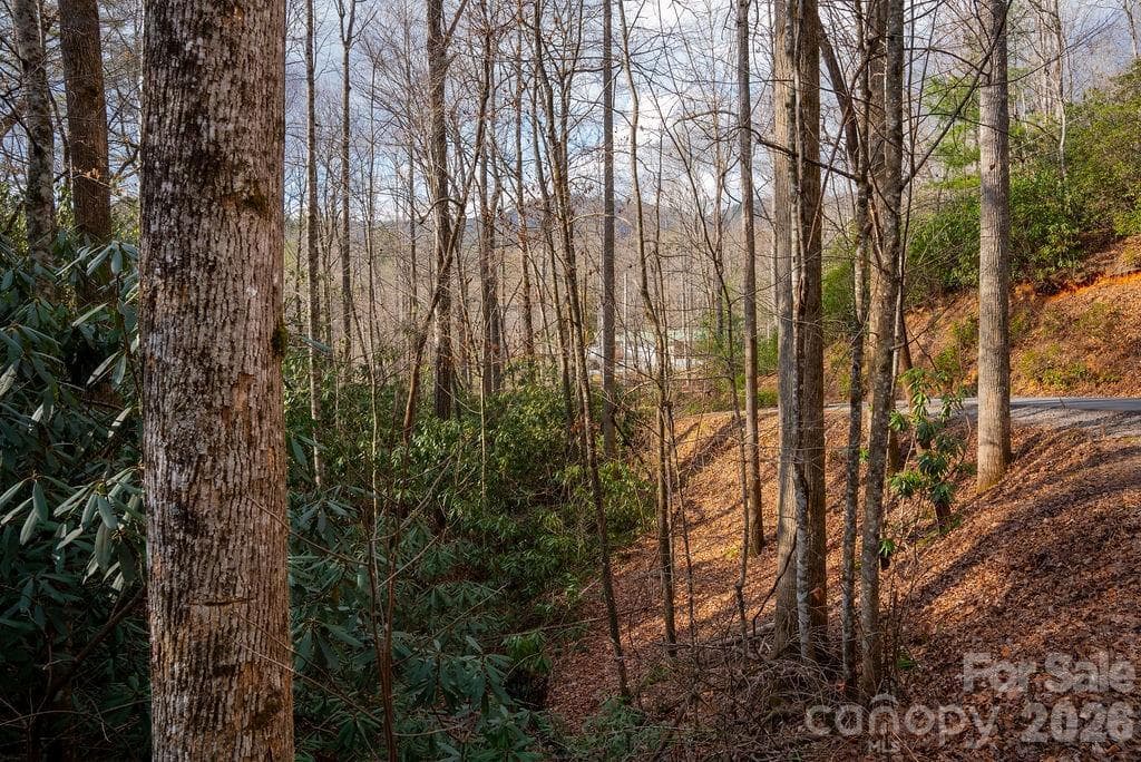 Lot at Brevard, photo 9 of 20
