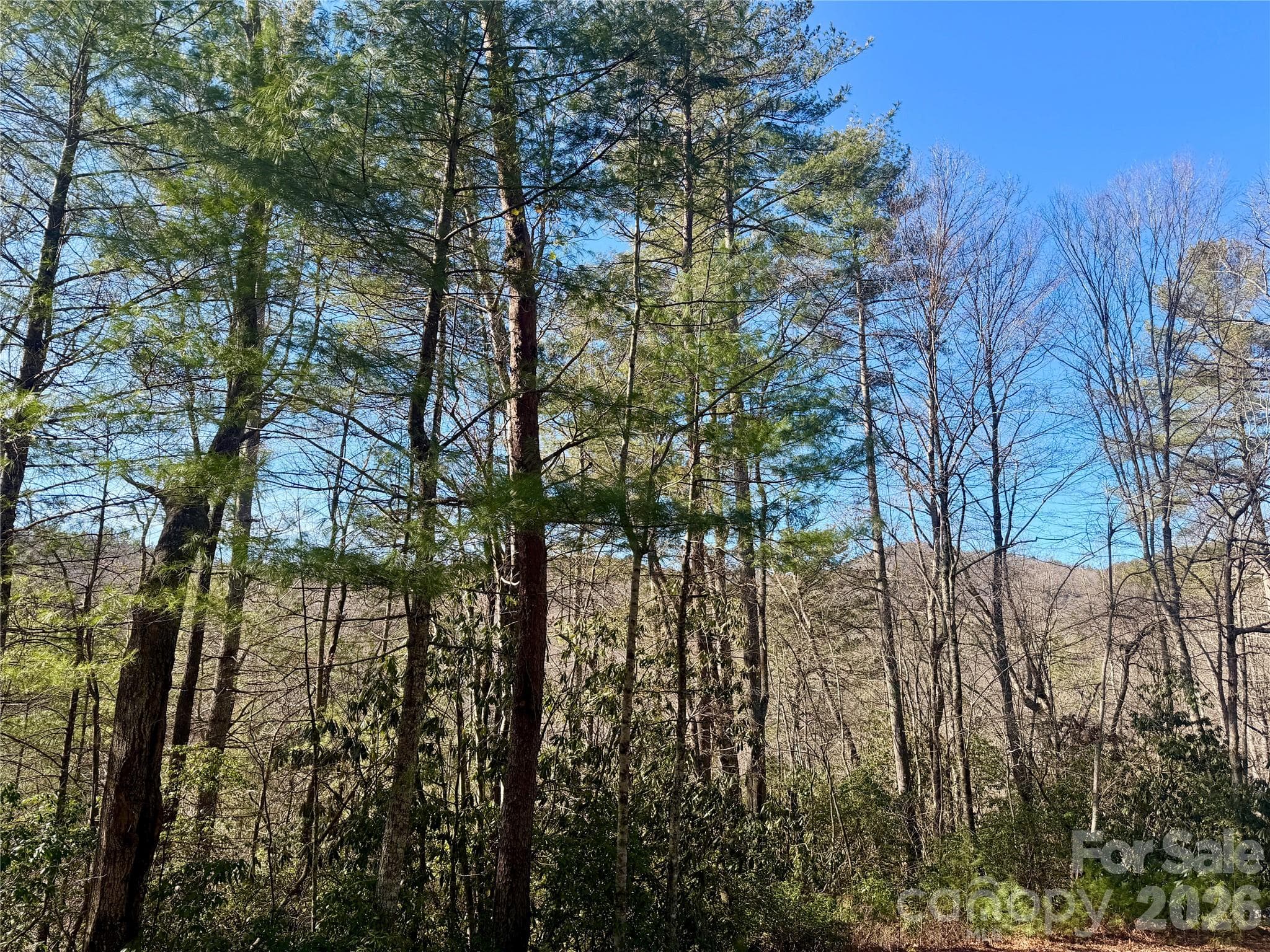 Lot at Brevard, photo 10 of 20