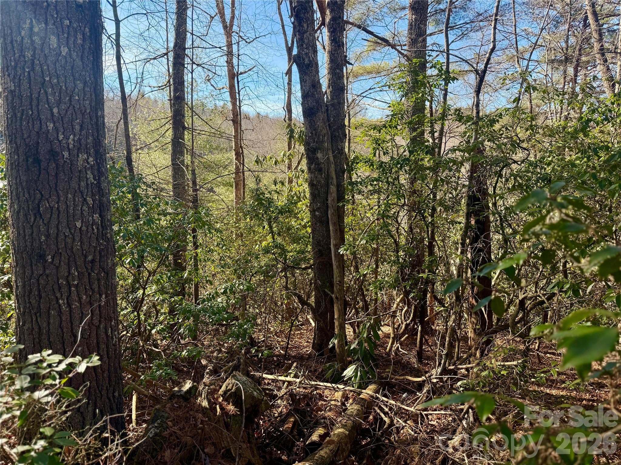 Lot at Brevard, photo 11 of 20