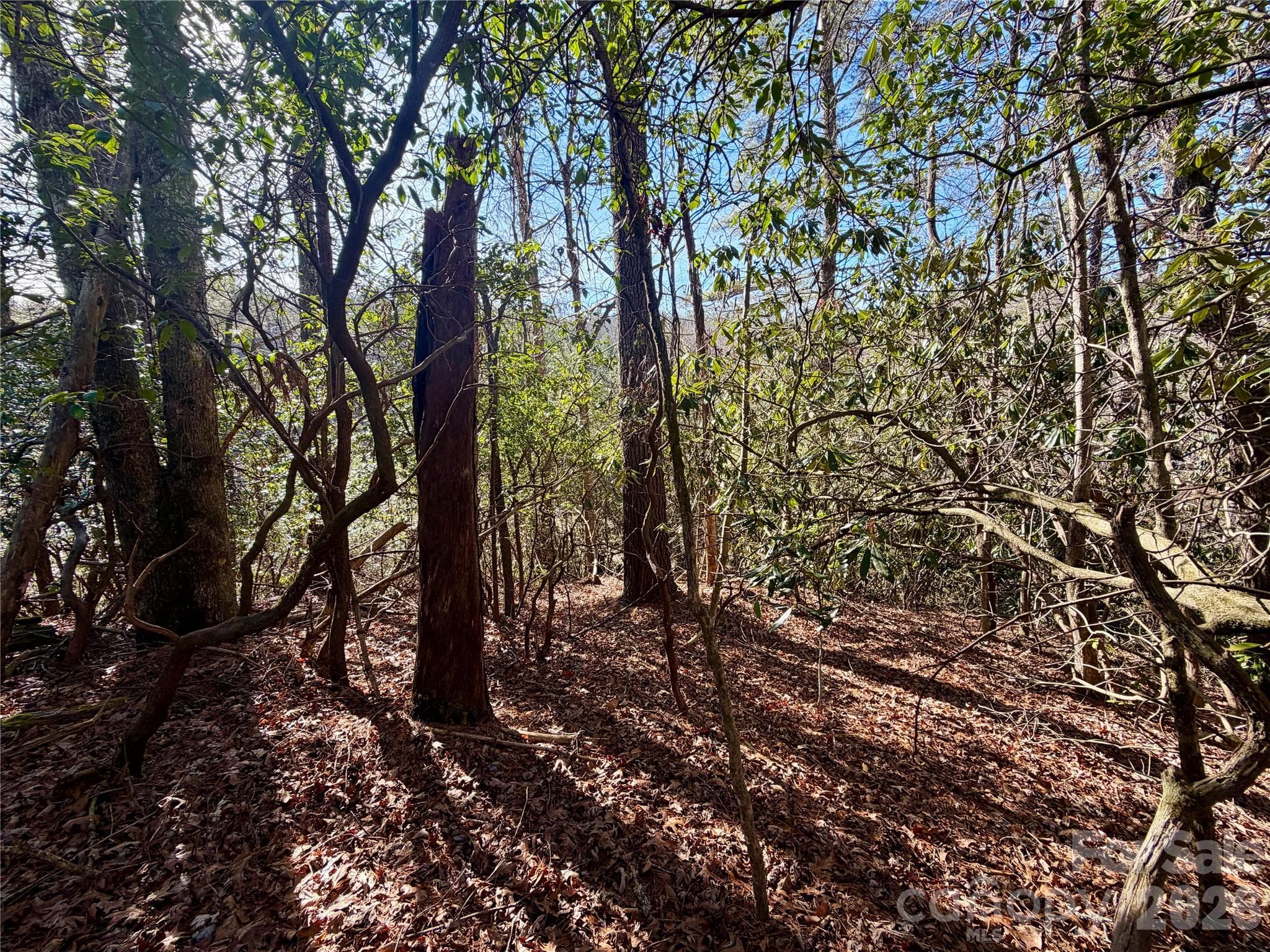 Lot at Brevard, photo 12 of 20