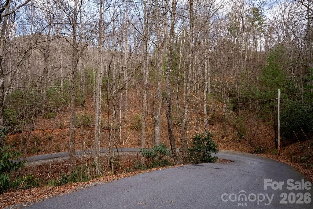 Lot at Brevard, photo 14 of 20