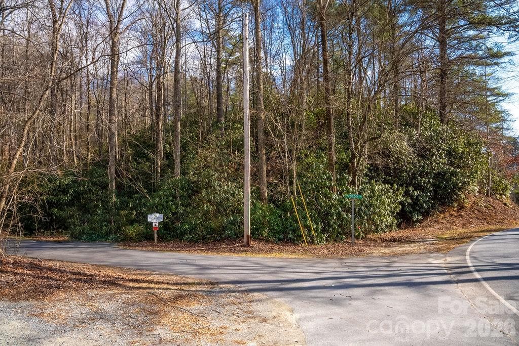 Lot at Brevard, photo 16 of 20