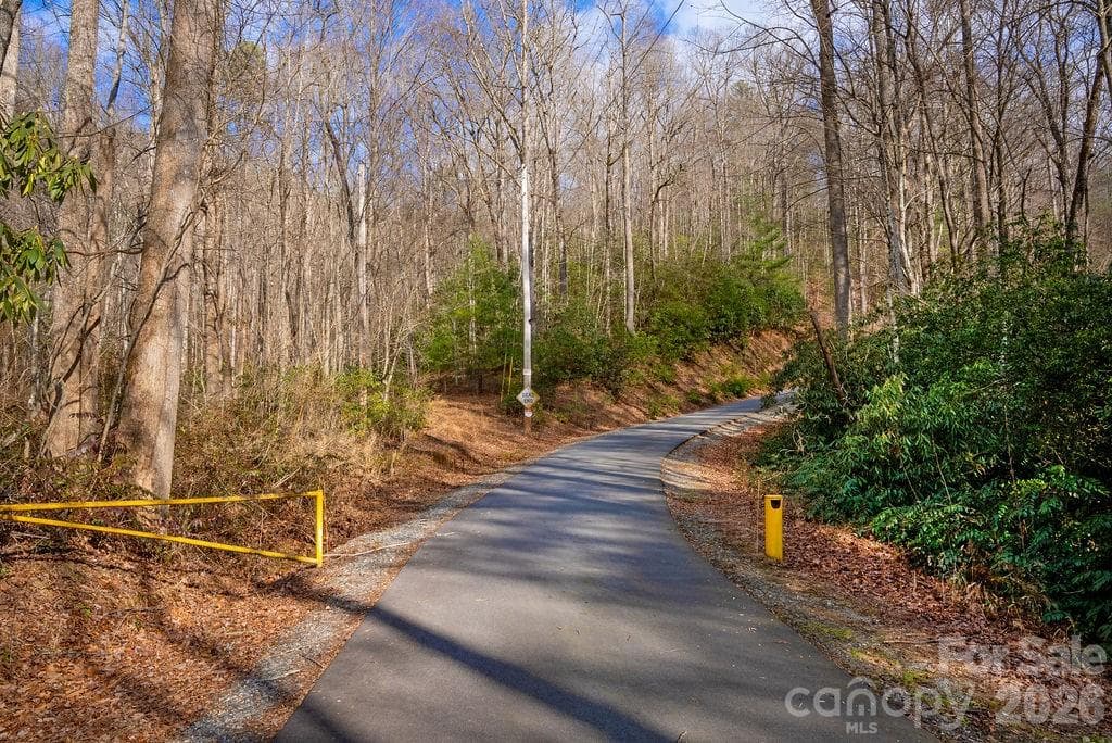 Lot at Brevard, photo 17 of 20