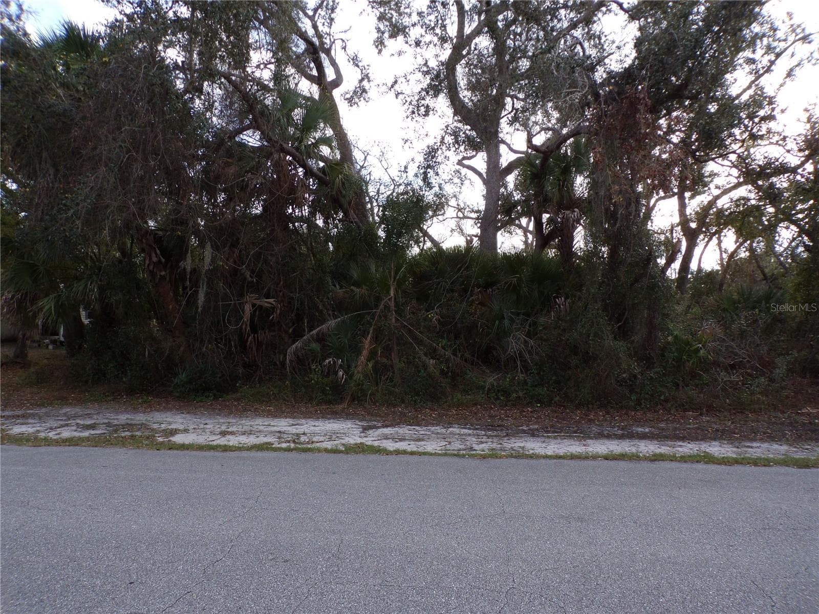 TEPEE AVE