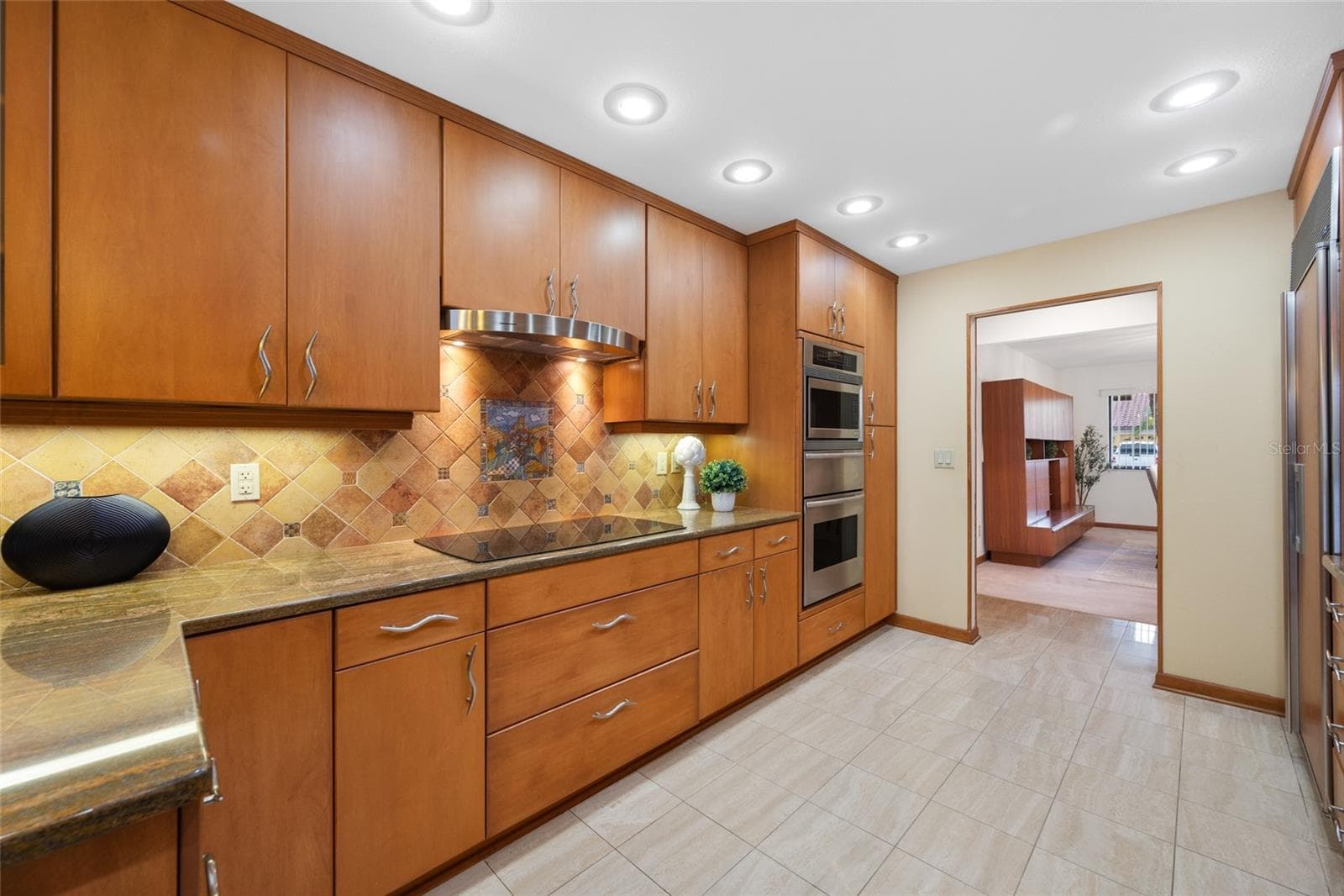 Kitchen - 9807 COMPASS POINT WAY, TAMPA