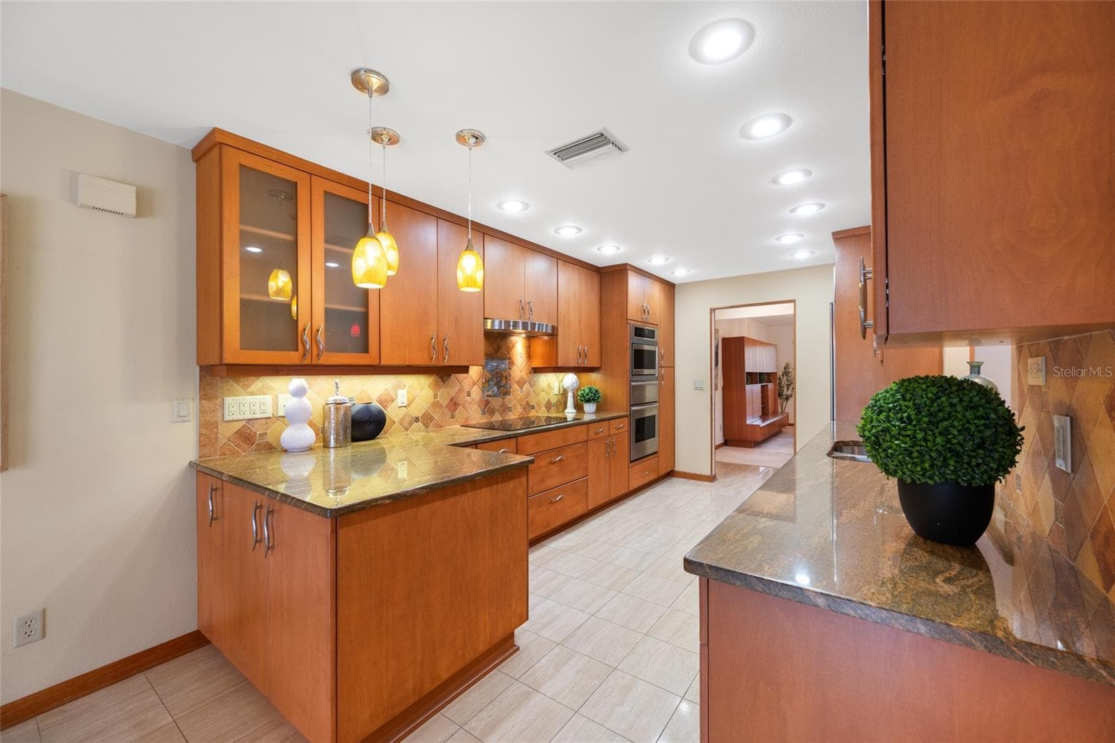 Kitchen - 9807 COMPASS POINT WAY, TAMPA