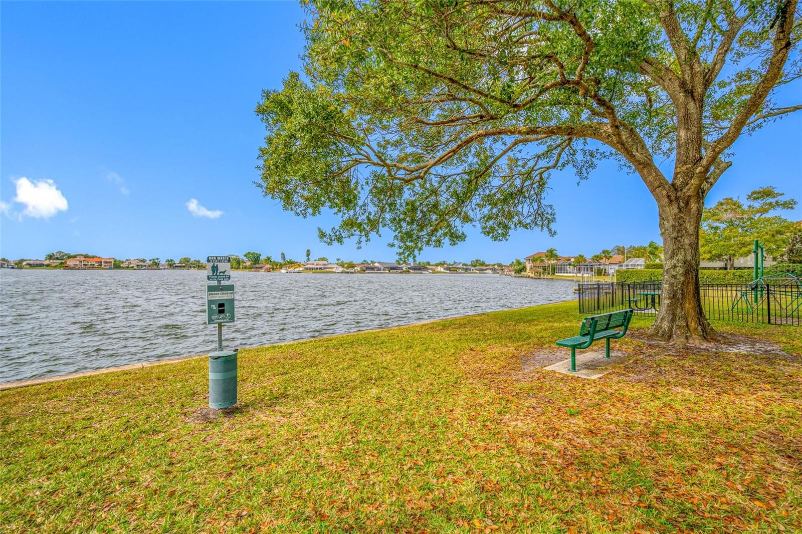 Water view of big lake - 9807 COMPASS POINT WAY, TAMPA