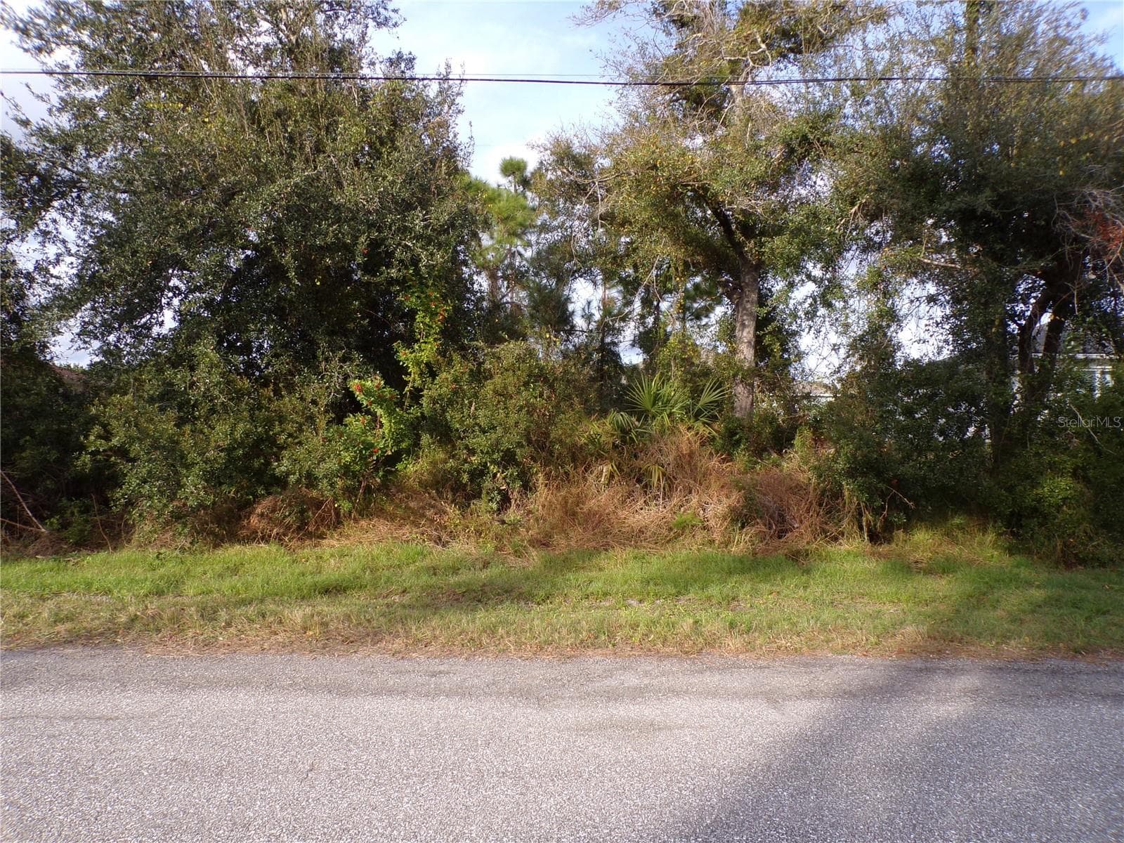 MEROLLA RD