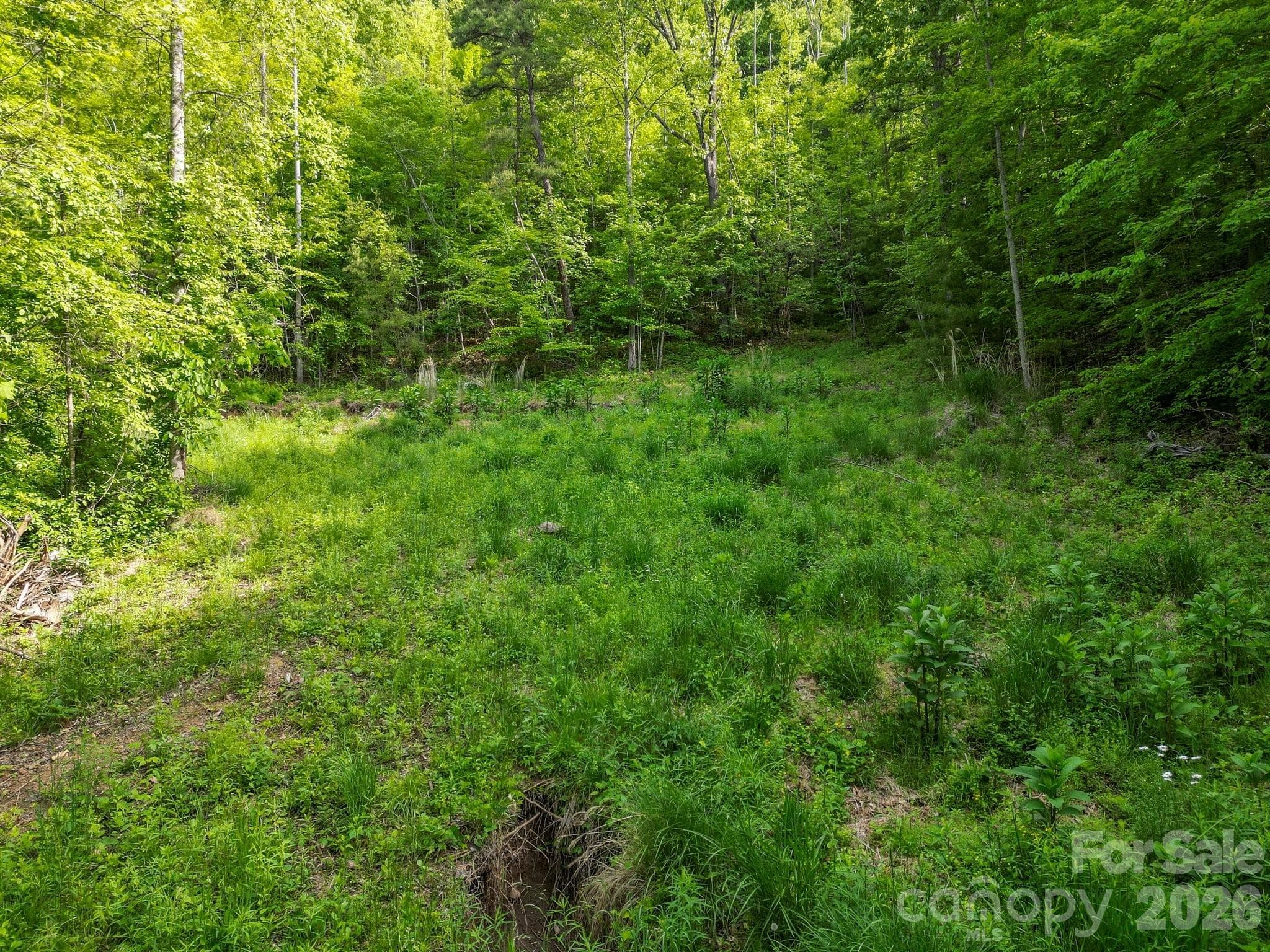 Lot at Weaverville, photo 17 of 21