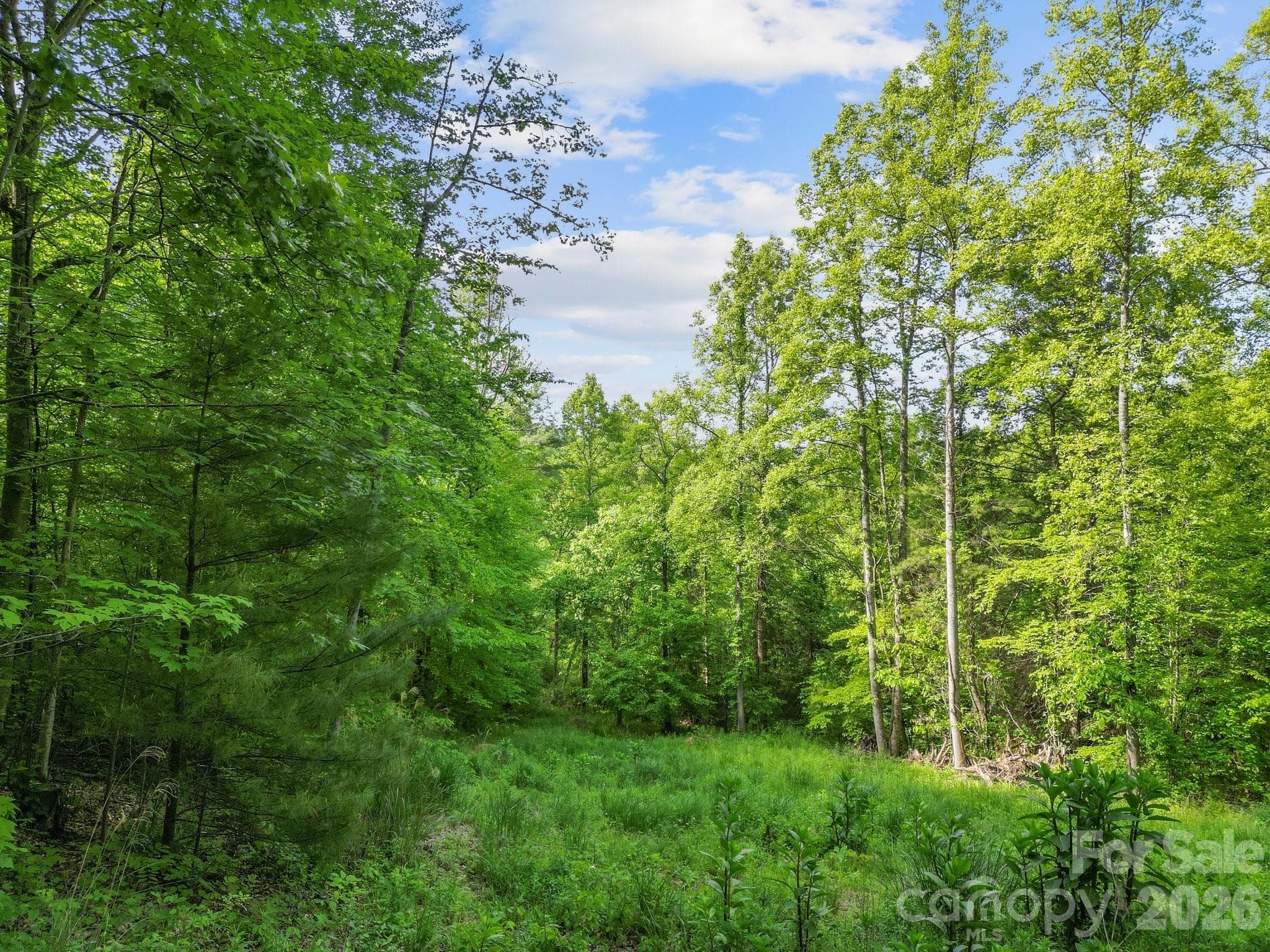 Lot at Weaverville, photo 18 of 21