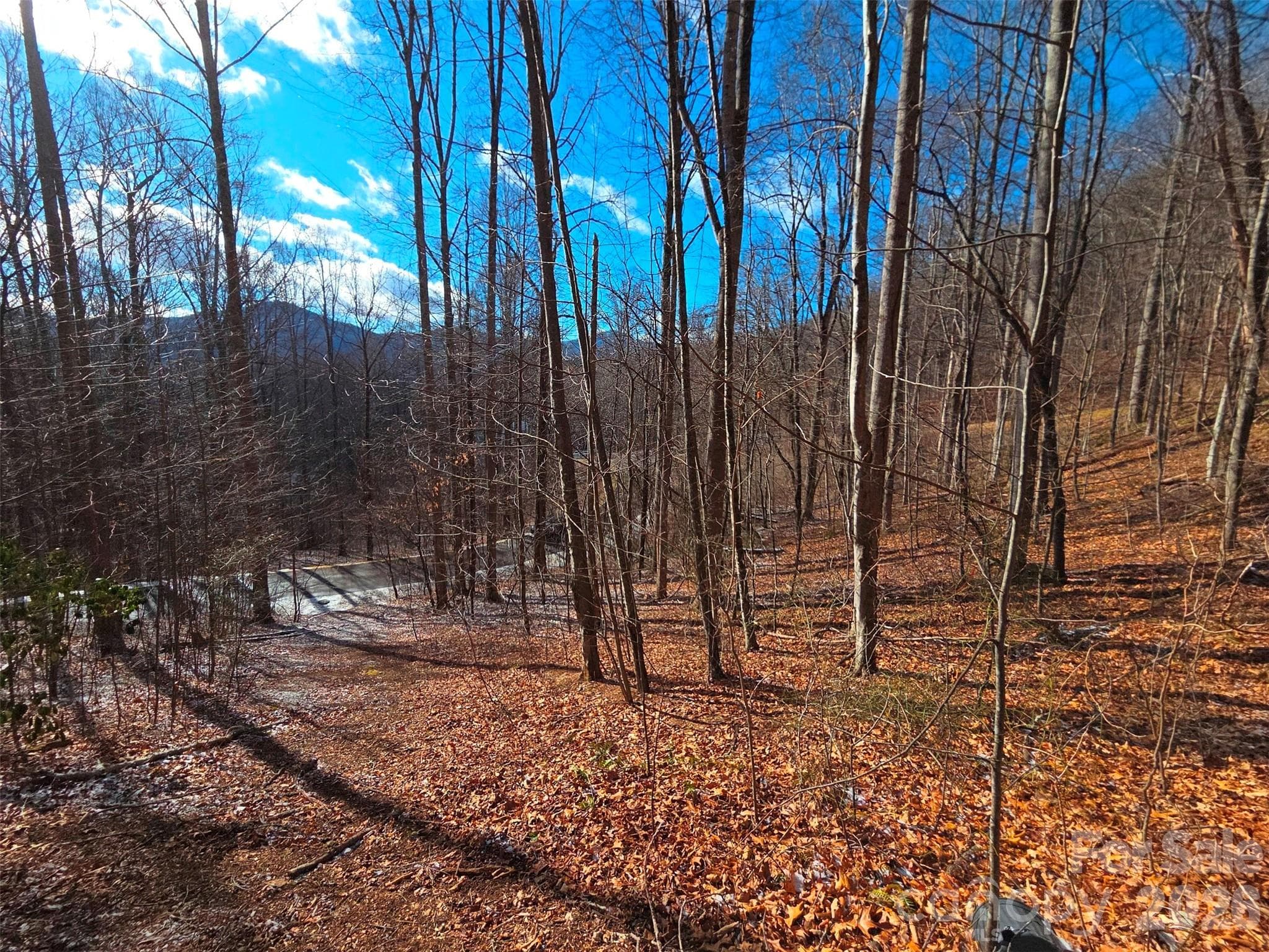 Lot at Waynesville, photo 2 of 18