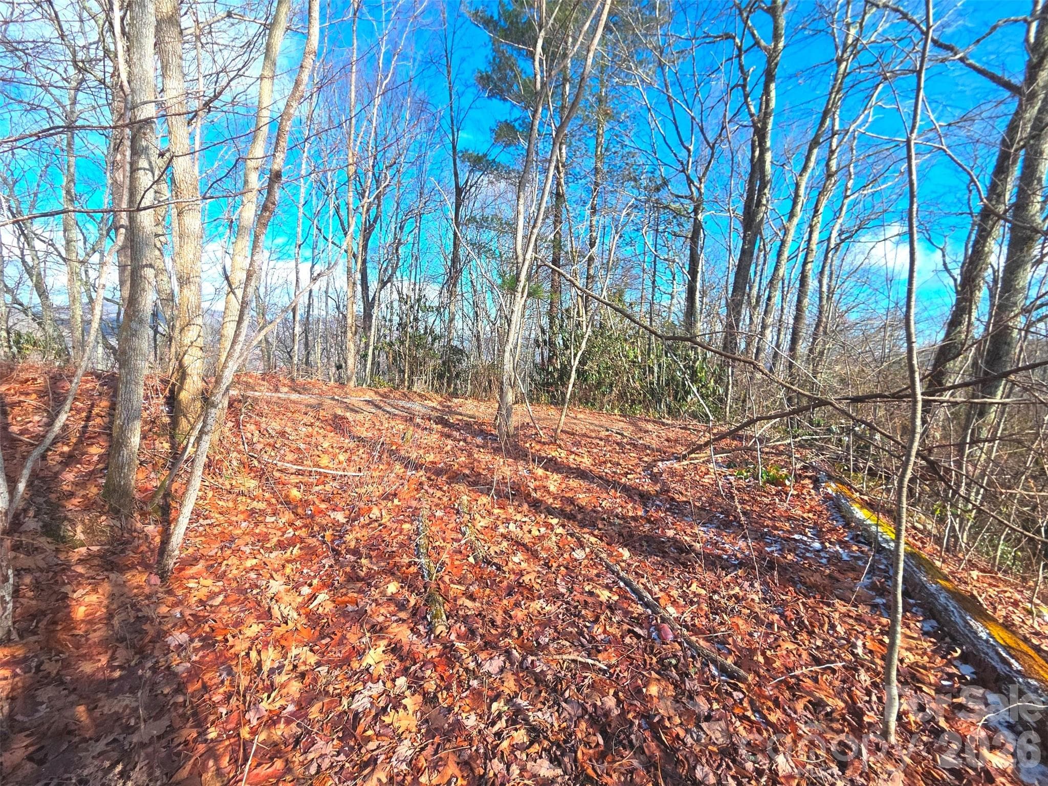 Lot at Maggie Valley, photo 3 of 16