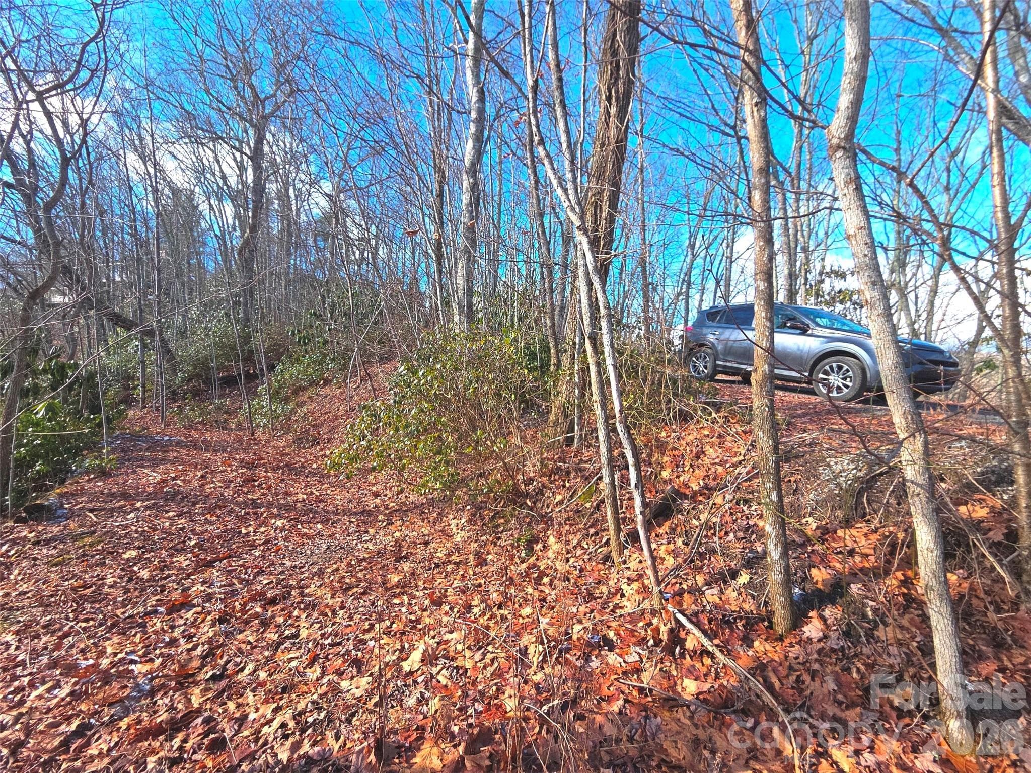 Lot at Maggie Valley, photo 2 of 16