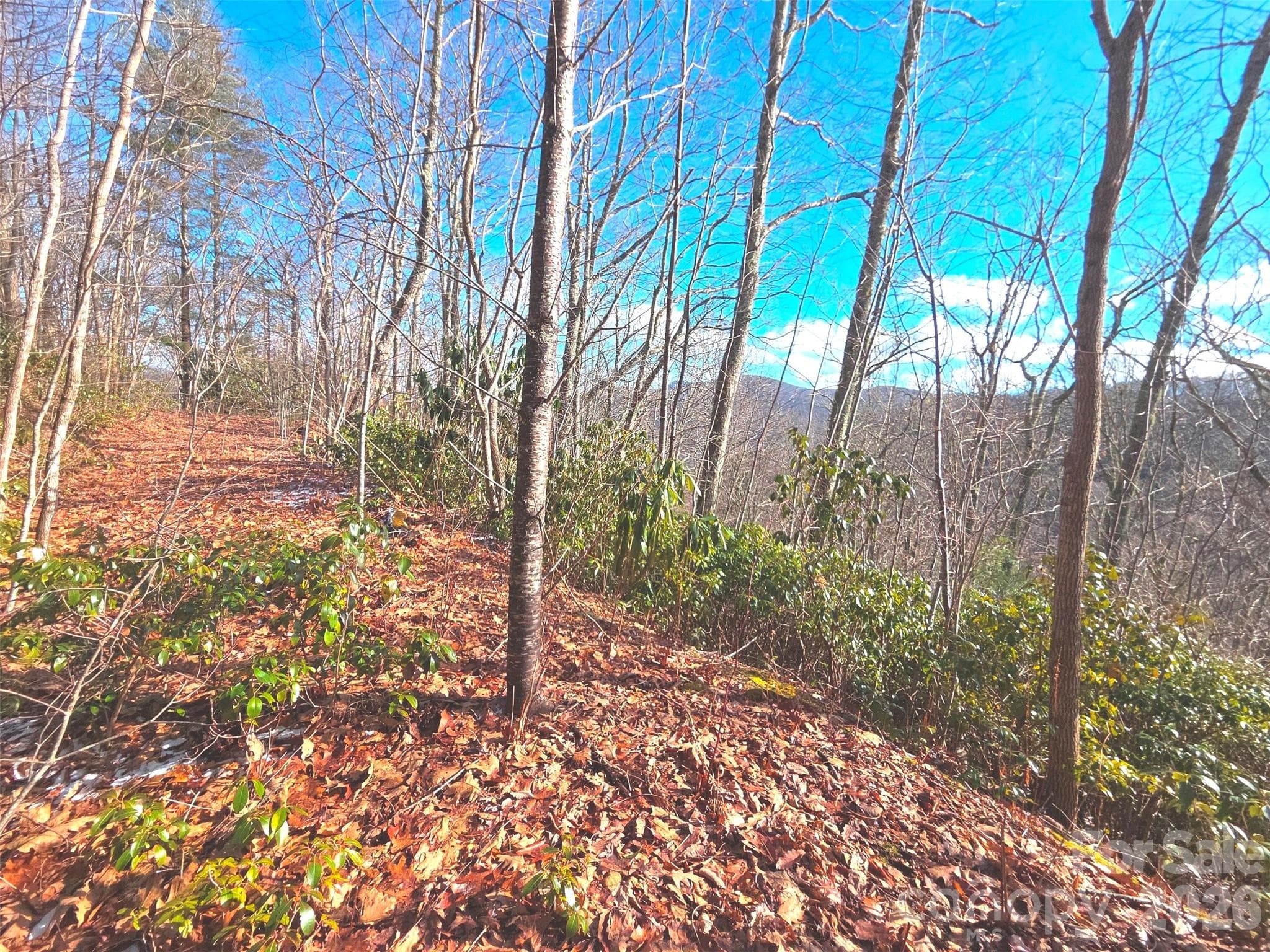 Lot at Maggie Valley, photo 4 of 16