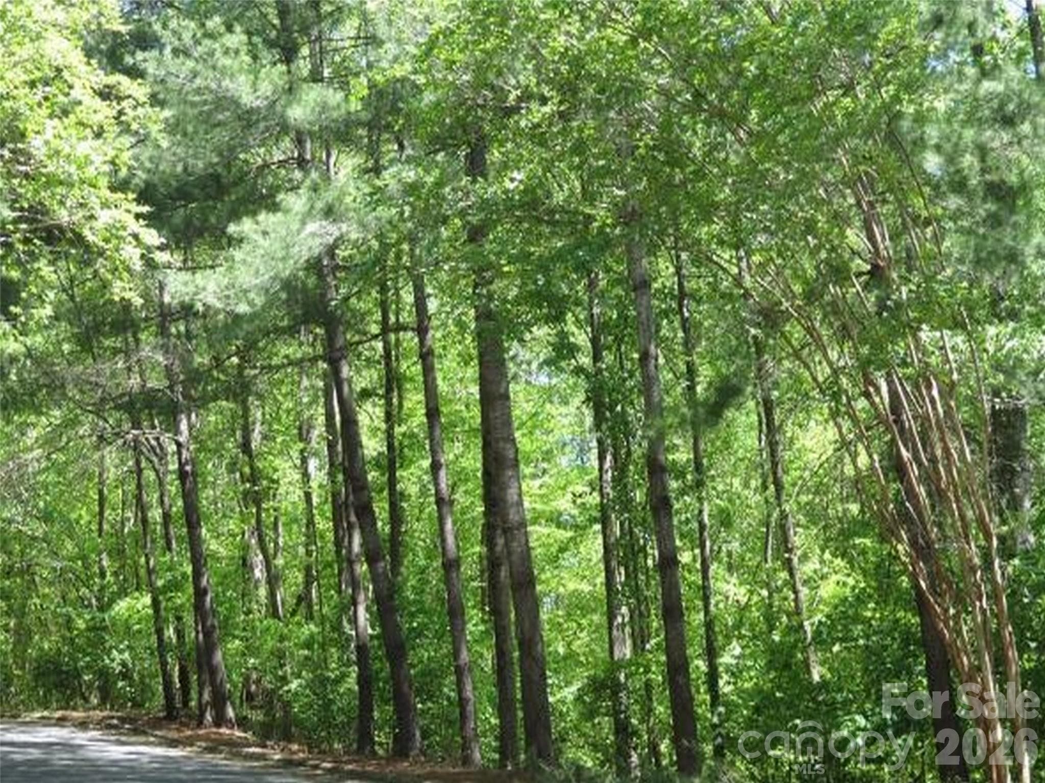 Lot at 0 General Griffith Circle, Rutherfordton, photo 2 of 9