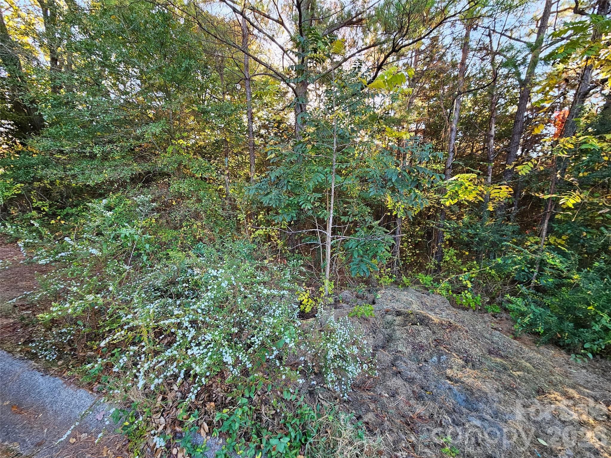 Lot at 0 General Griffith Circle, Rutherfordton, photo 3 of 9