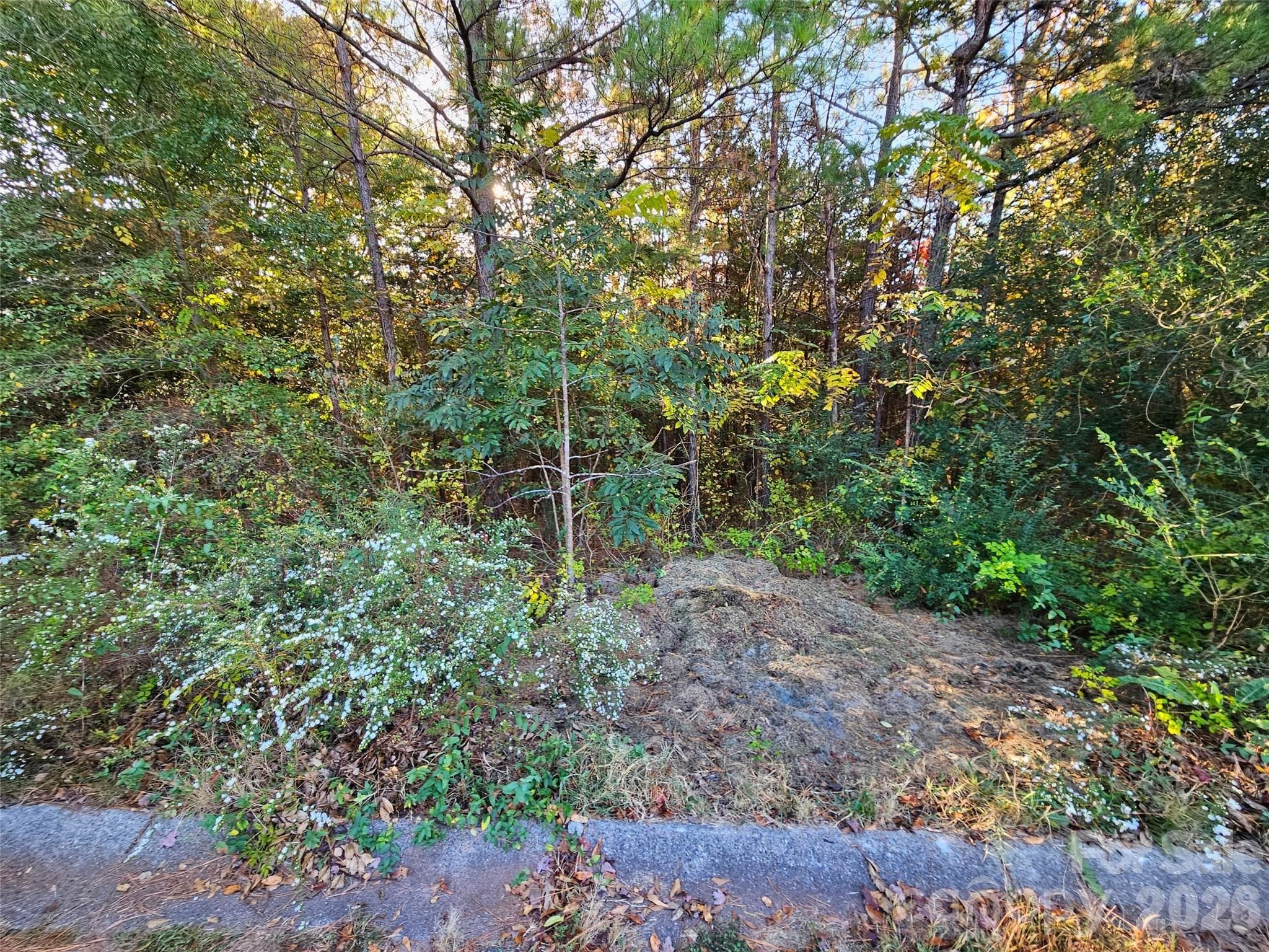 Lot at 0 General Griffith Circle, Rutherfordton, photo 6 of 9
