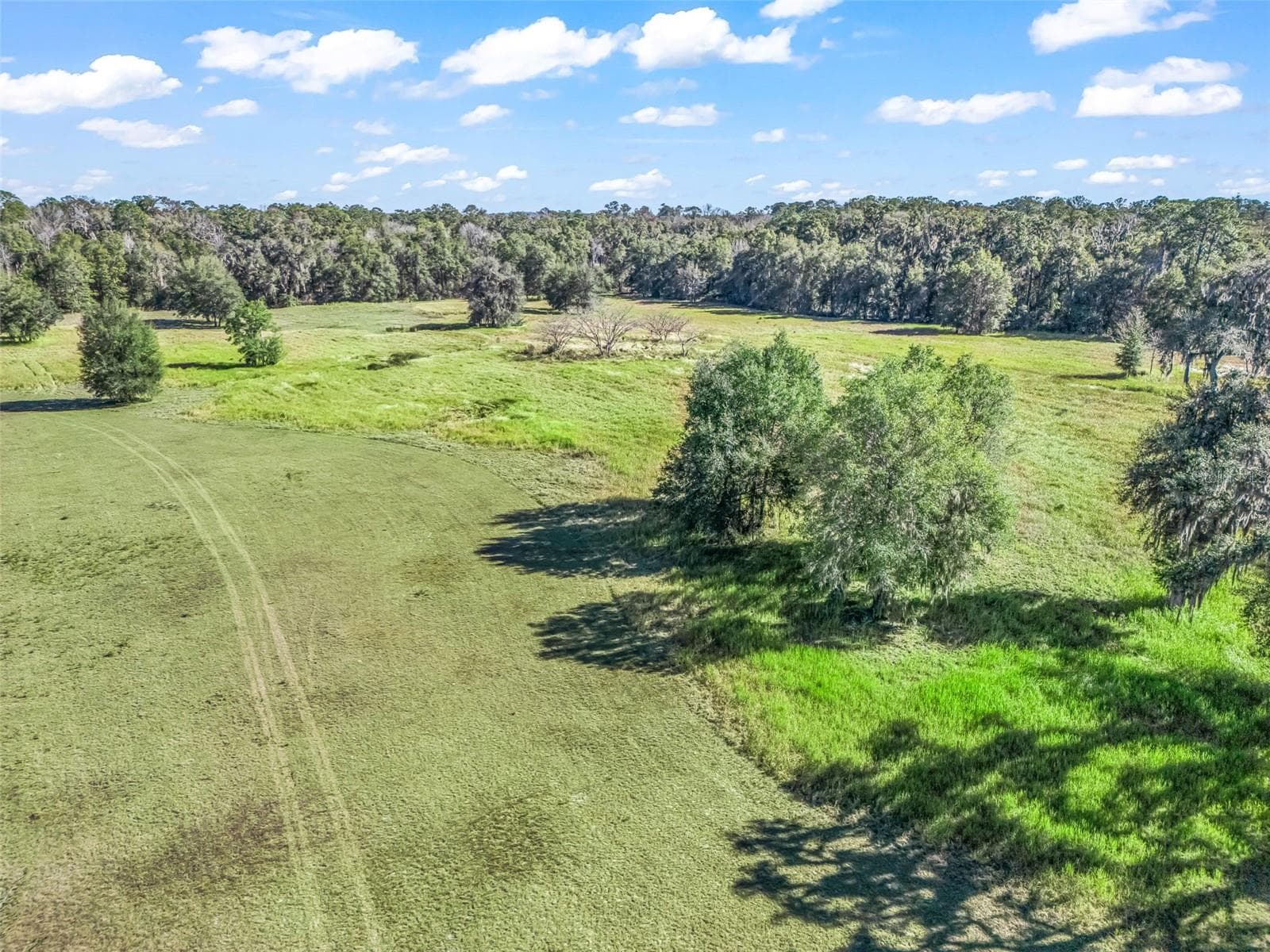 Land at TBD NW 127 CT, OCALA, photo 8 of 17