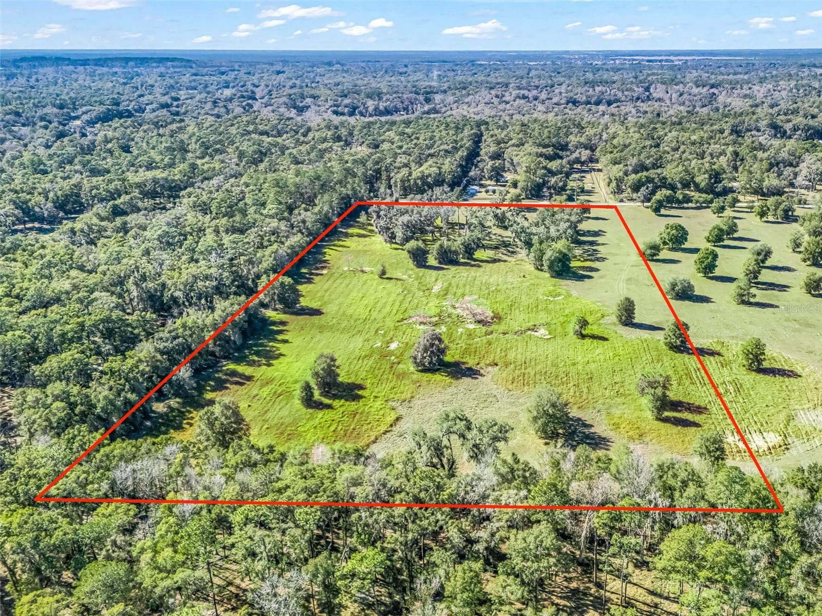 Land at TBD NW 127 CT, OCALA, photo 13 of 17