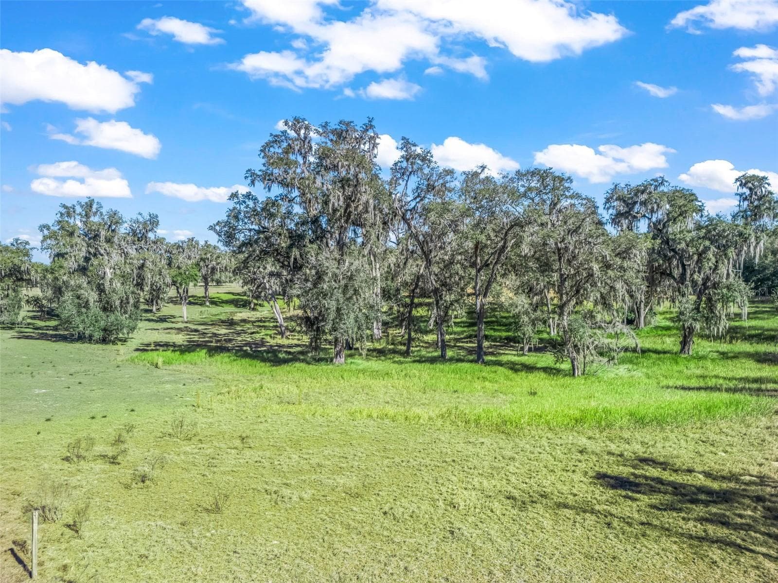 Land at TBD NW 127 CT, OCALA, photo 16 of 17