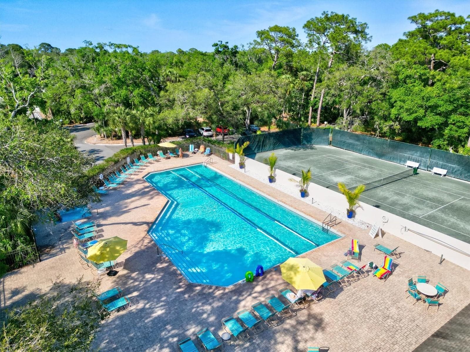 Meadows community Jr Olympic Pool, marked lanes - 2453 CRISPIN CT #F4, SARASOTA