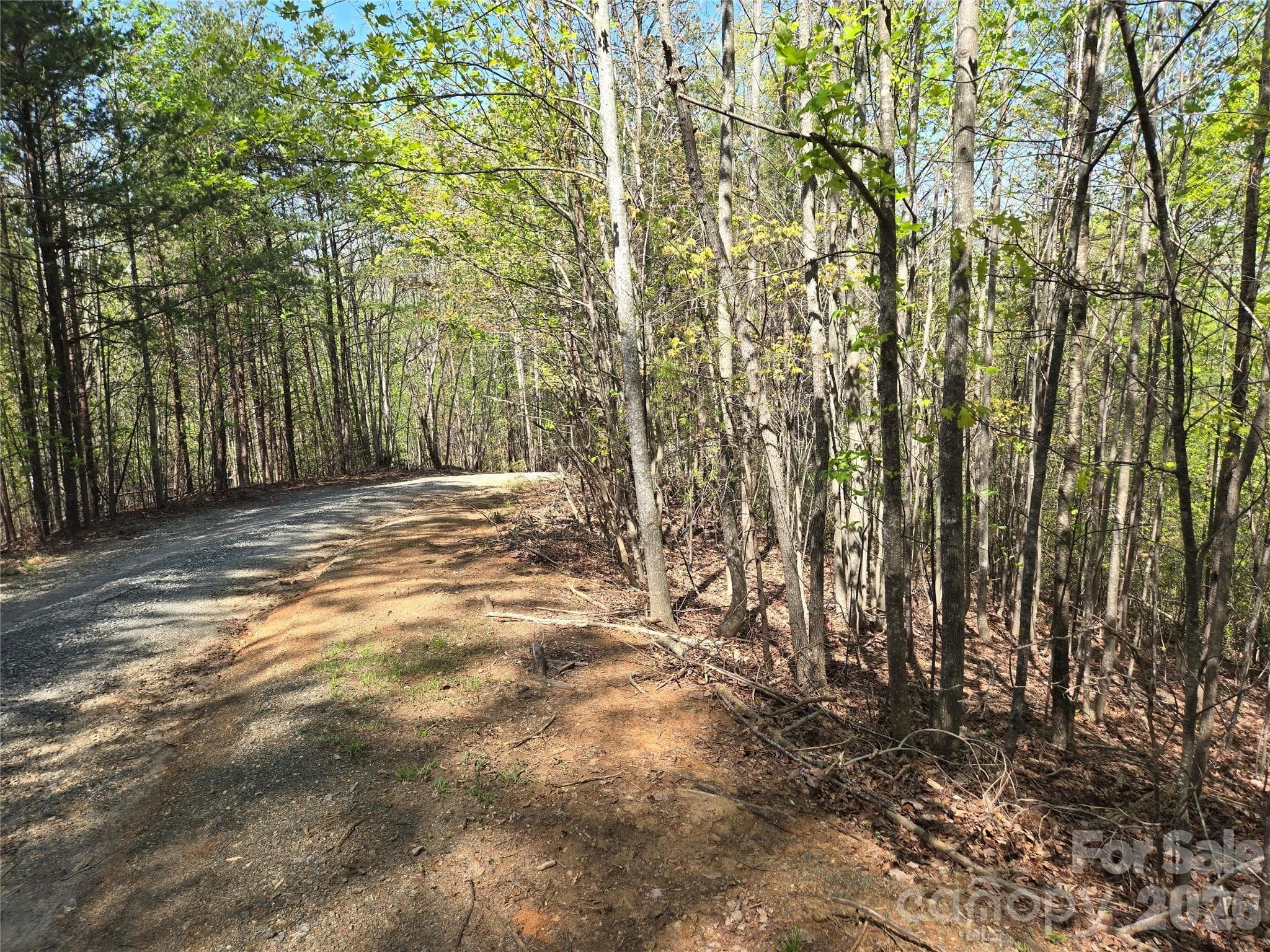 Lot at Lake Lure, photo 2 of 22