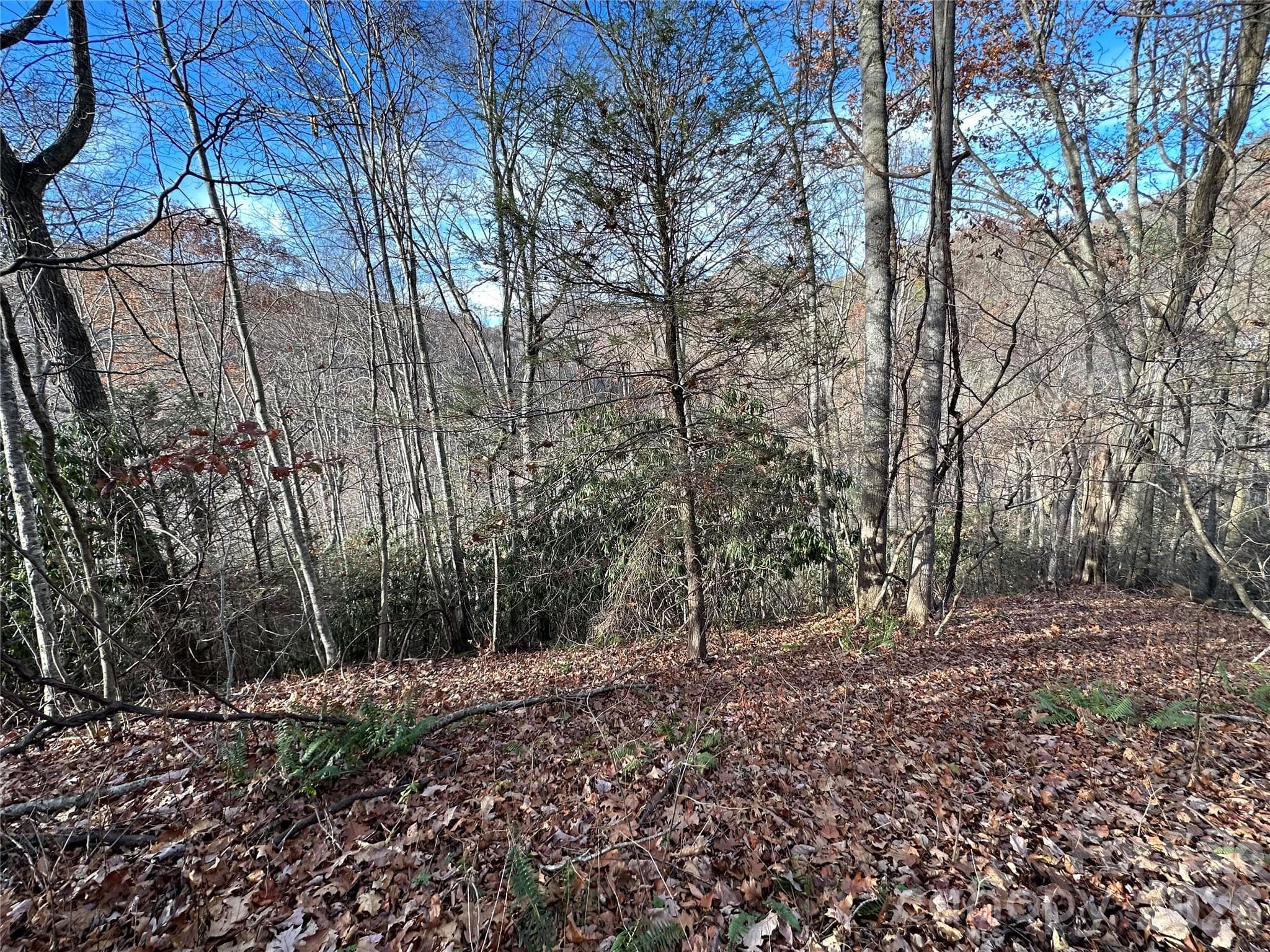 Lot at Clyde, photo 2 of 9