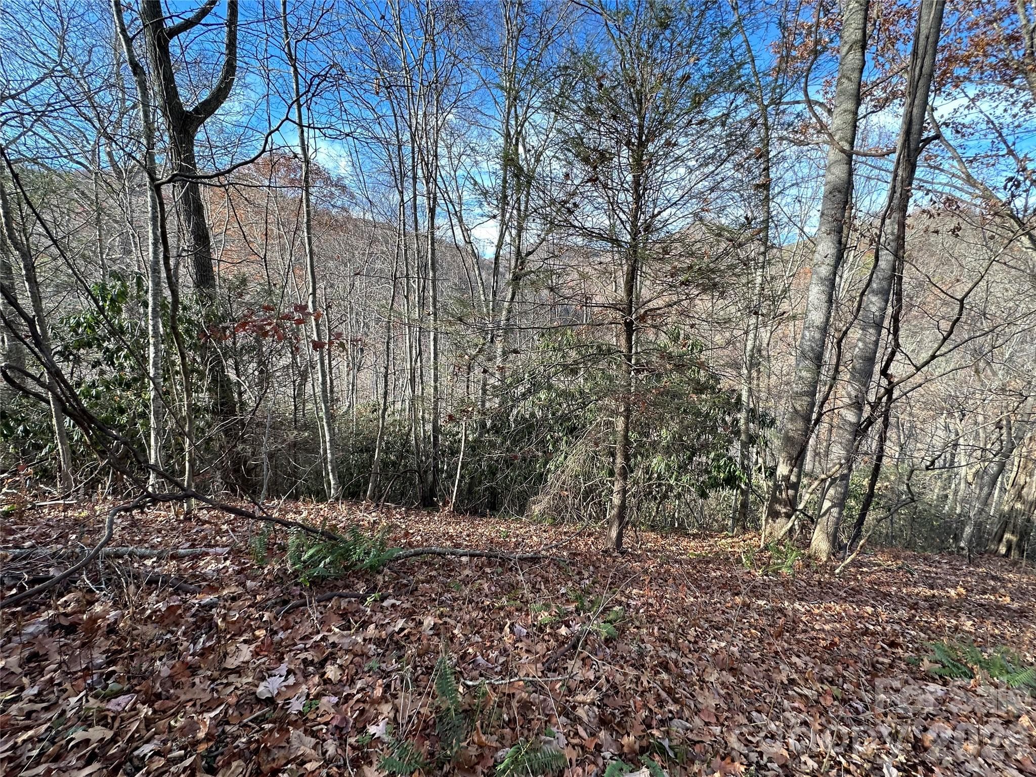 Lot at Clyde, photo 3 of 9