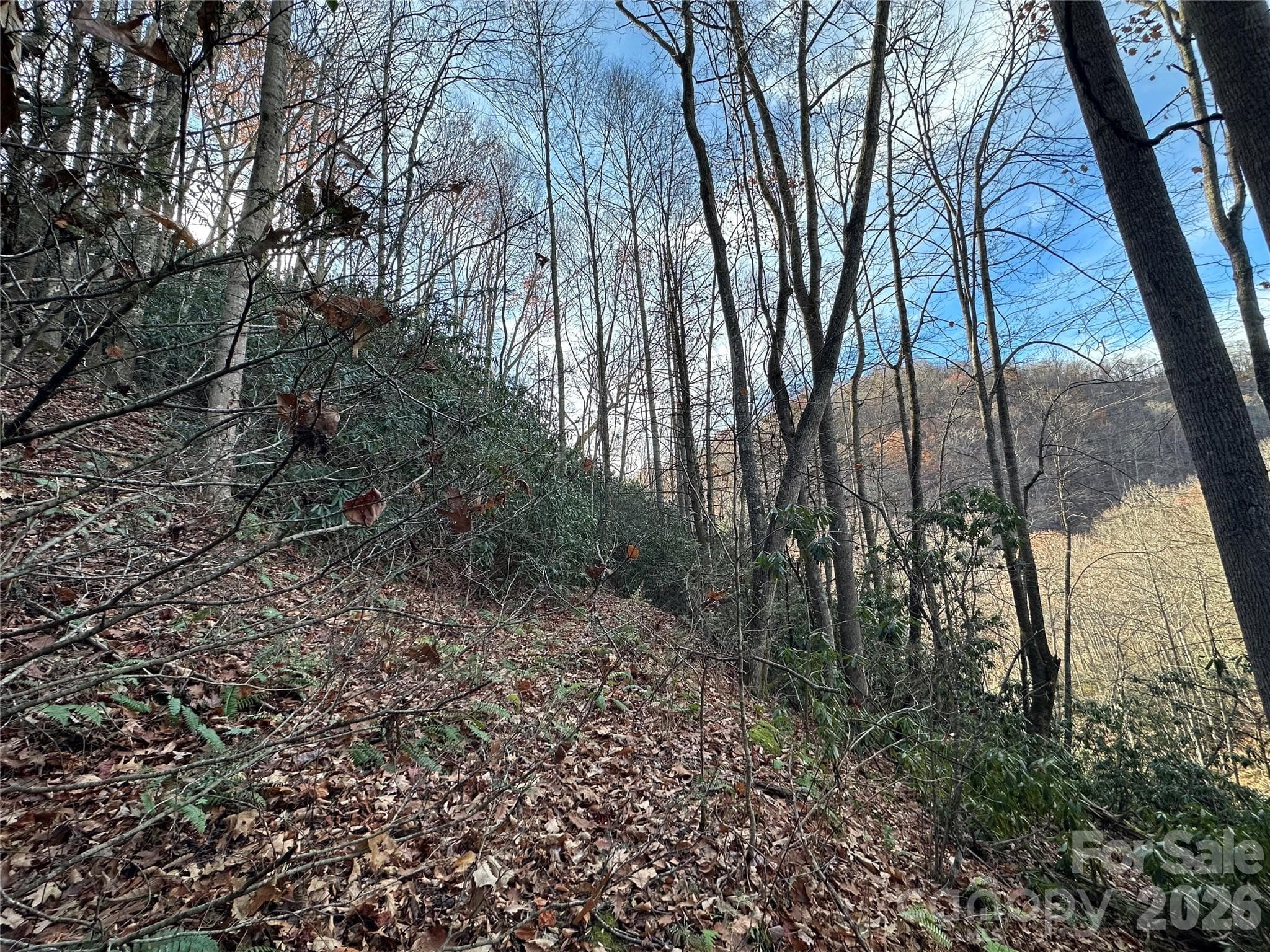 Lot at Clyde, photo 4 of 9
