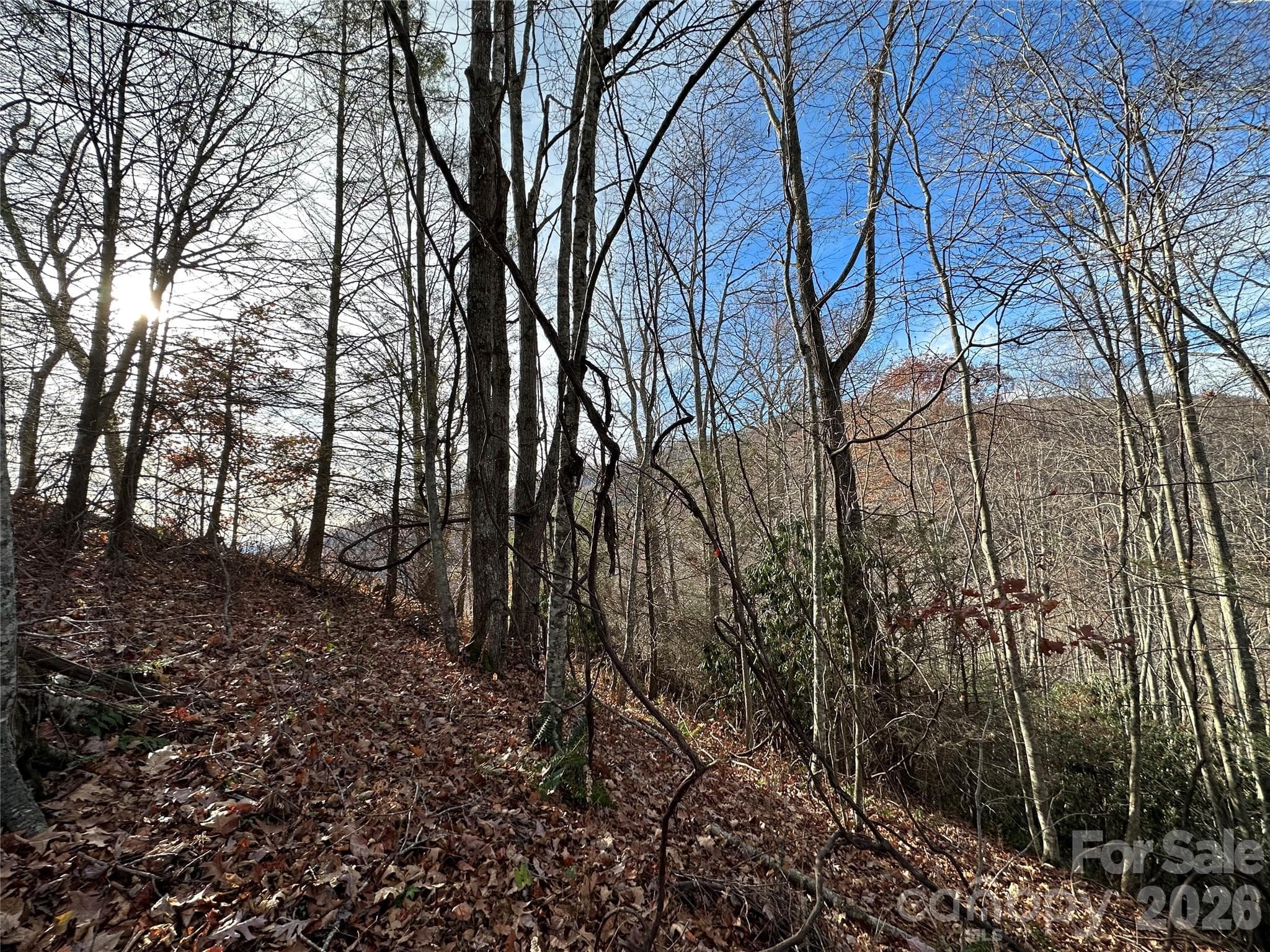 Lot at Clyde, photo 5 of 9