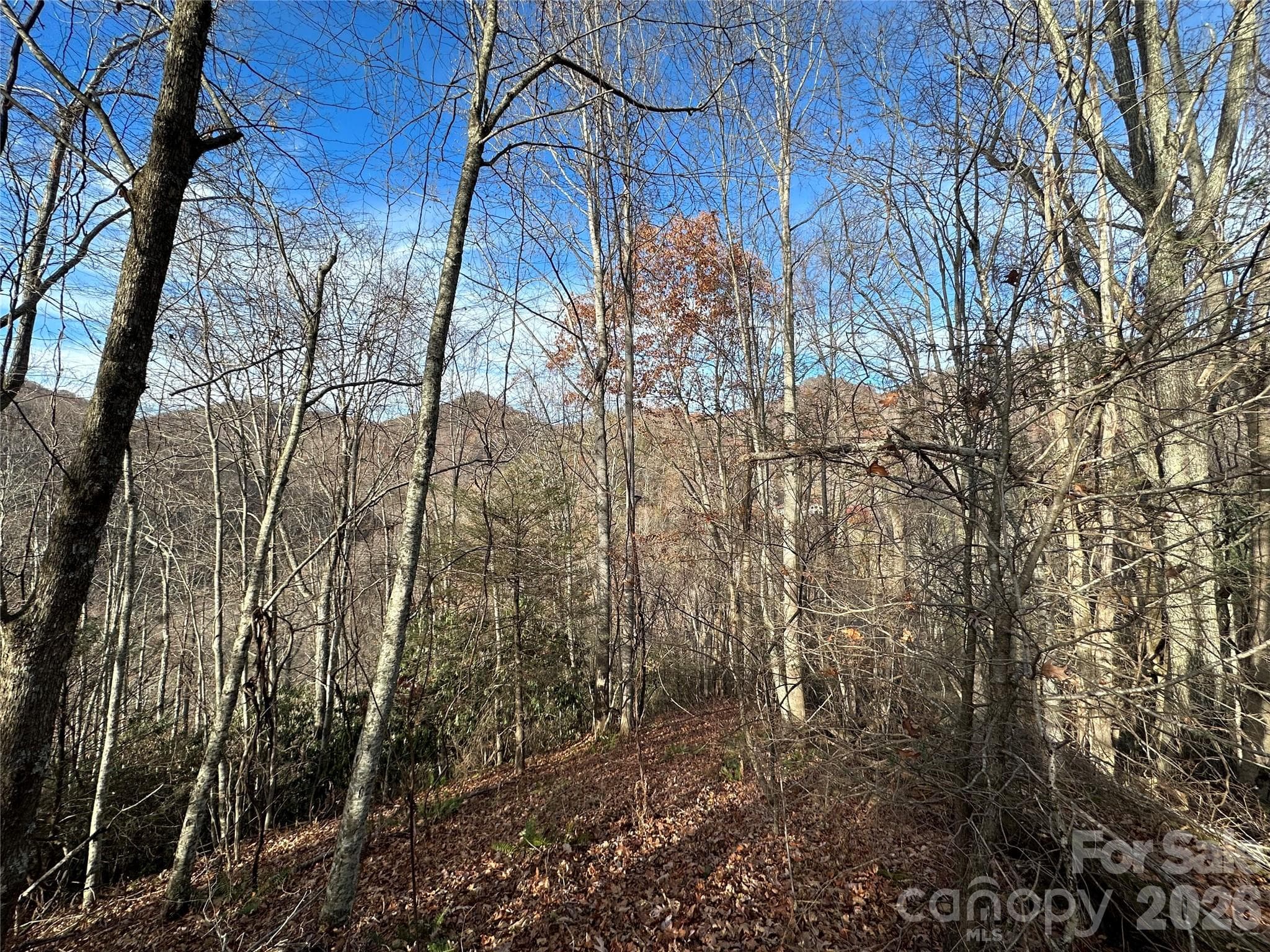 Lot at Clyde, photo 6 of 9
