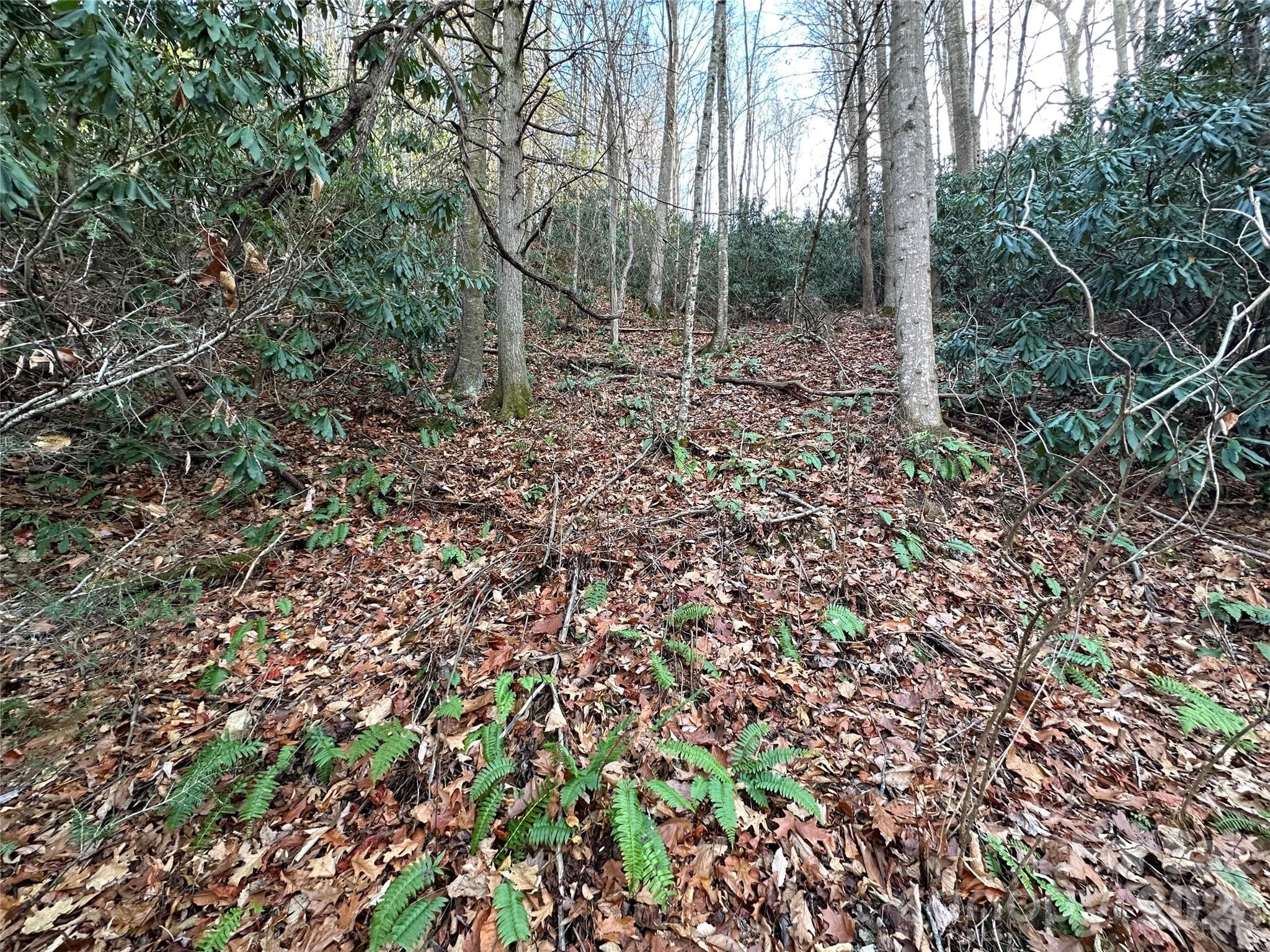 Lot at Clyde, photo 9 of 9