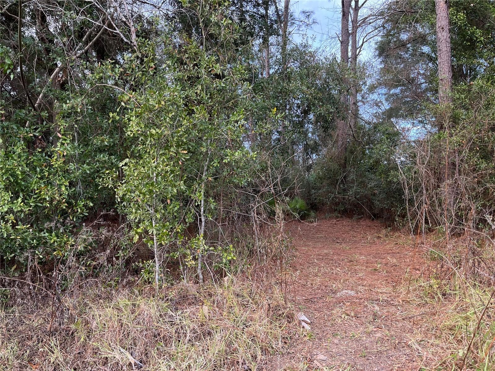 Land at Lots 17 & 18 NW 20TH ST, OCALA, photo 2 of 3