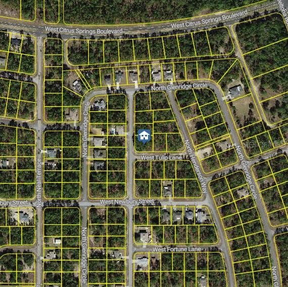 Land at 647 W TULIP LN, CITRUS SPRINGS, photo 2 of 4