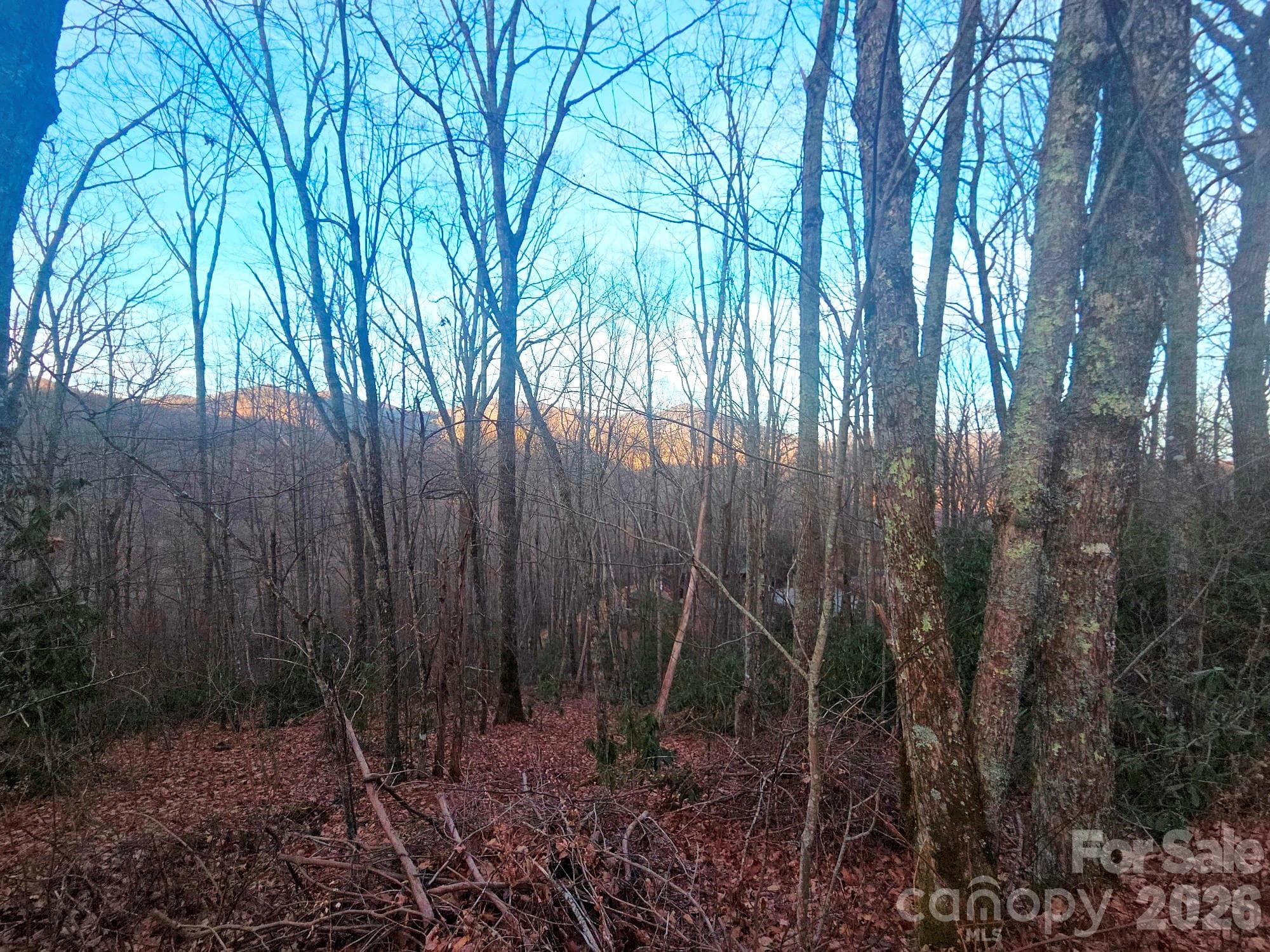 Lot at Maggie Valley, photo 3 of 27