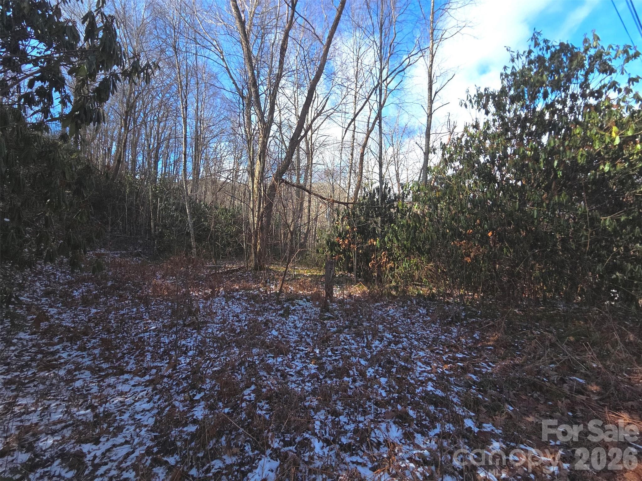 Lot at Maggie Valley, photo 8 of 27