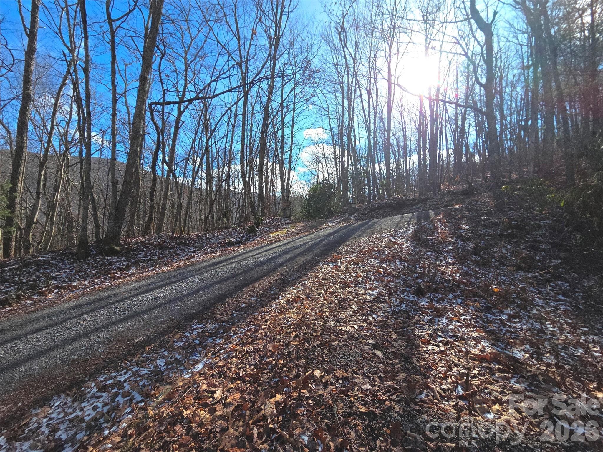 Lot at Maggie Valley, photo 6 of 27