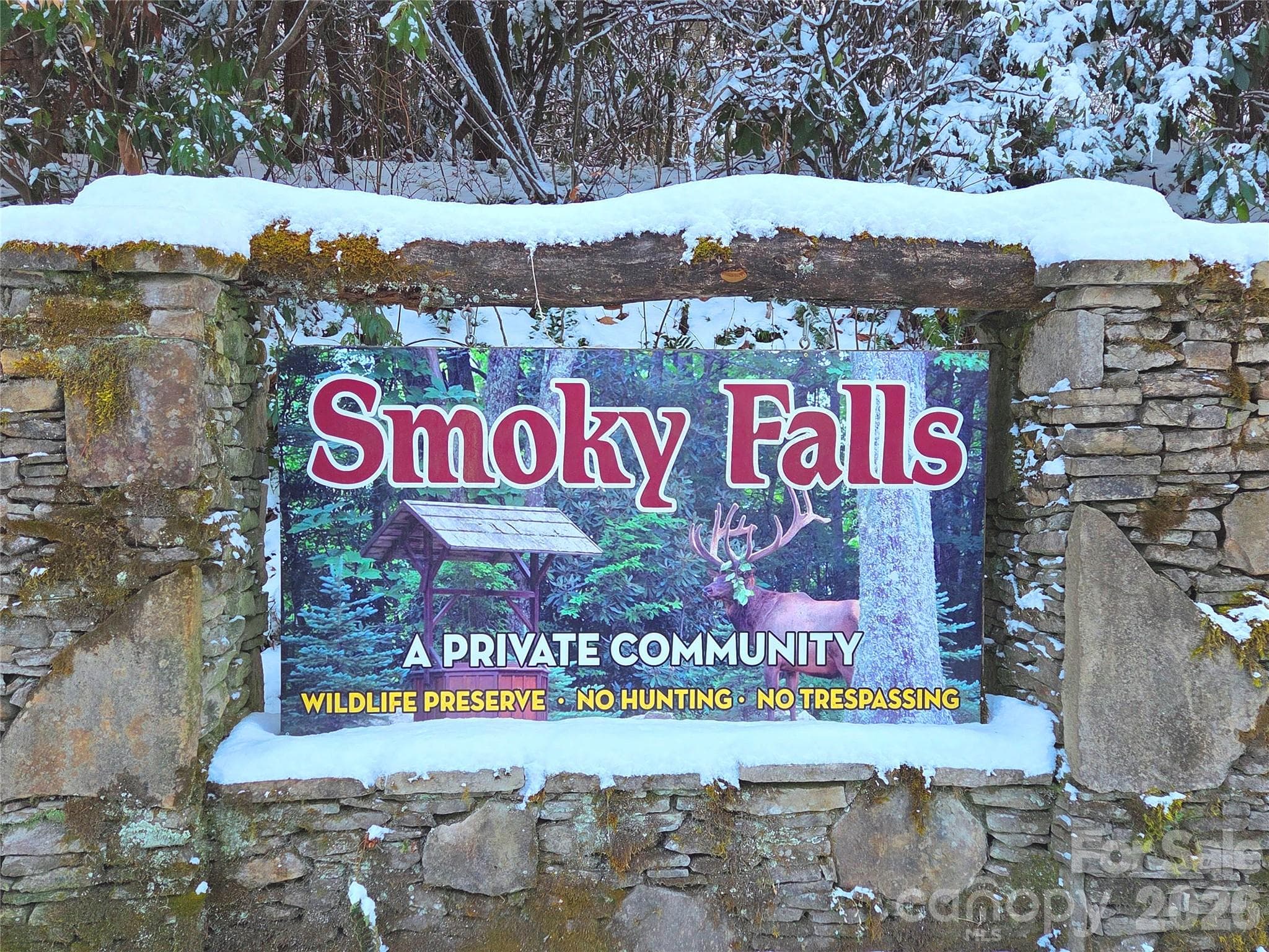 Lot at Maggie Valley, photo 2 of 19