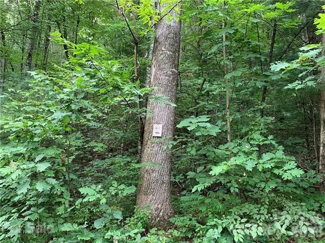 Lot at 0000 Peppervine Circle, Rosman, photo 2 of 7