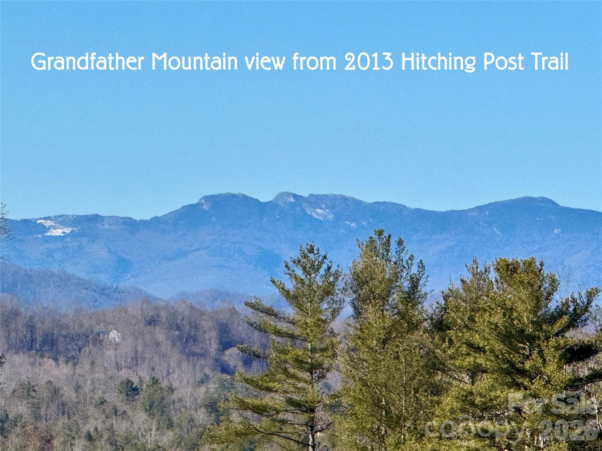 Iconoic Grandfather Mountain is only part of the view! - Lenoir