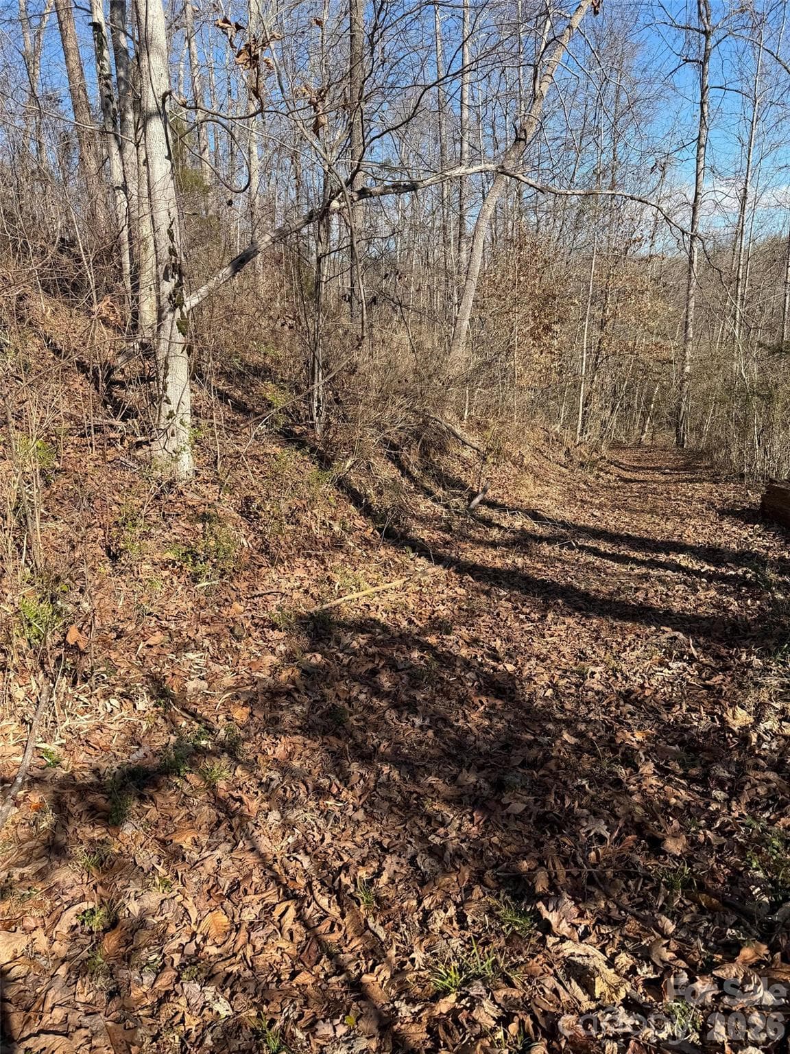 000 E Rambling Creek Road