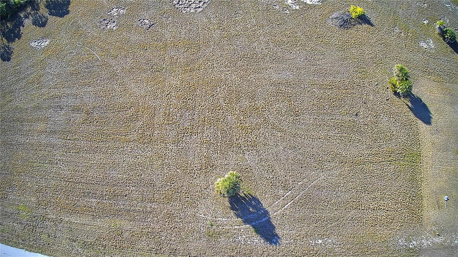 Land at 12455 BLUE MARLIN RD, PLACIDA, photo 9 of 12