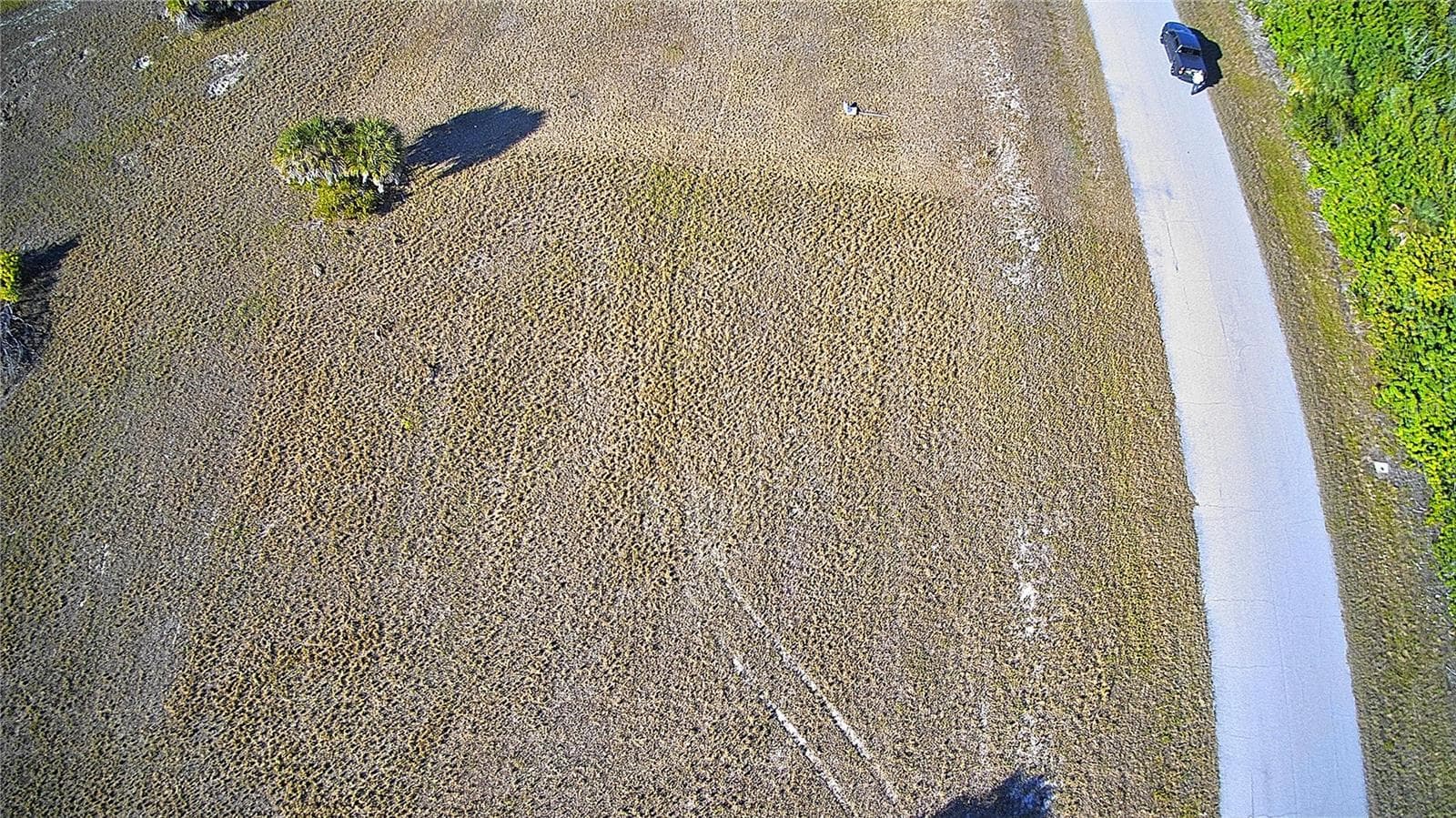 Land at 12455 BLUE MARLIN RD, PLACIDA, photo 10 of 12