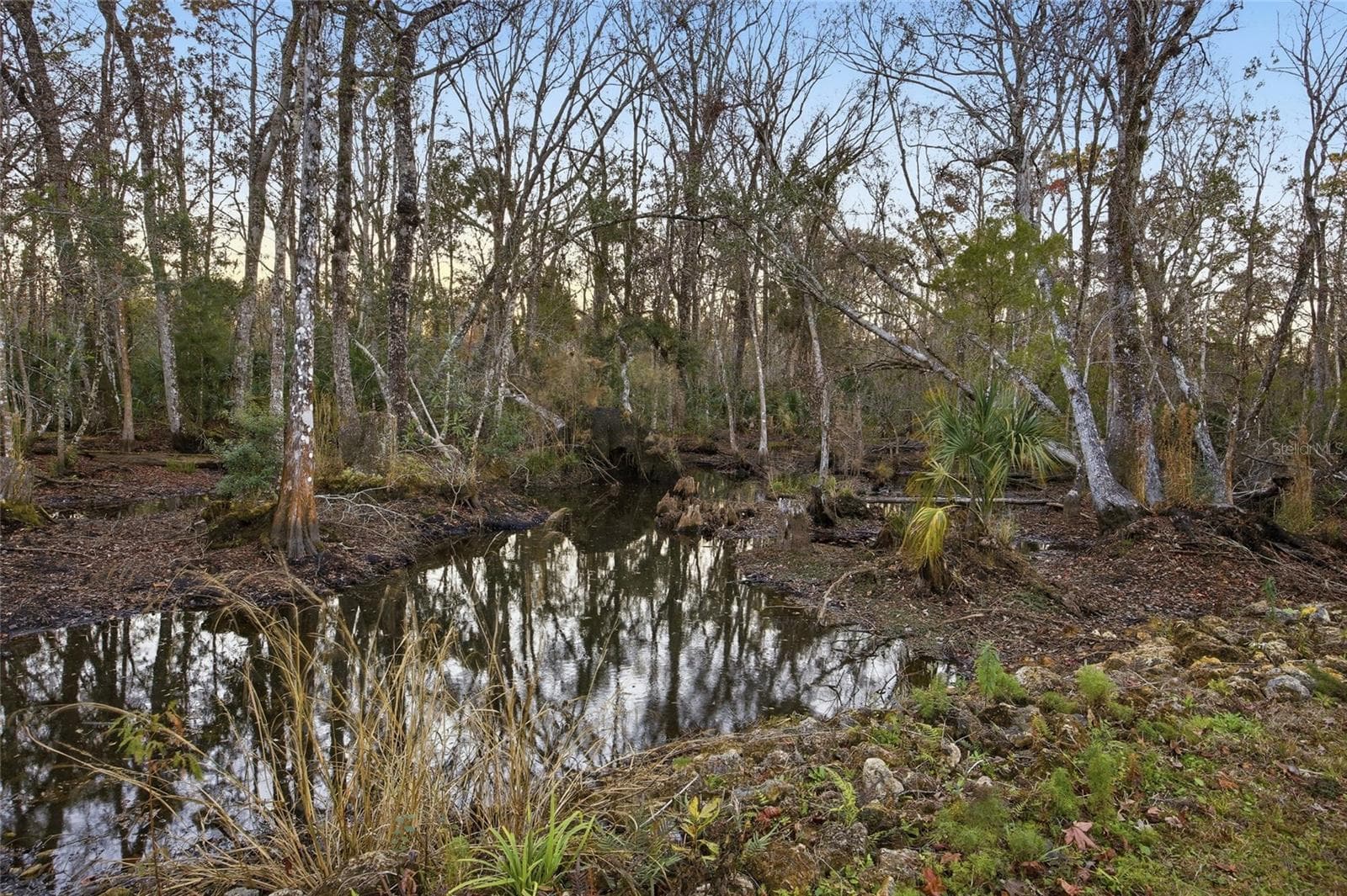 Single Family Residence at Track 79 CLAYTON RD, CEDAR KEY, photo 19 of 30