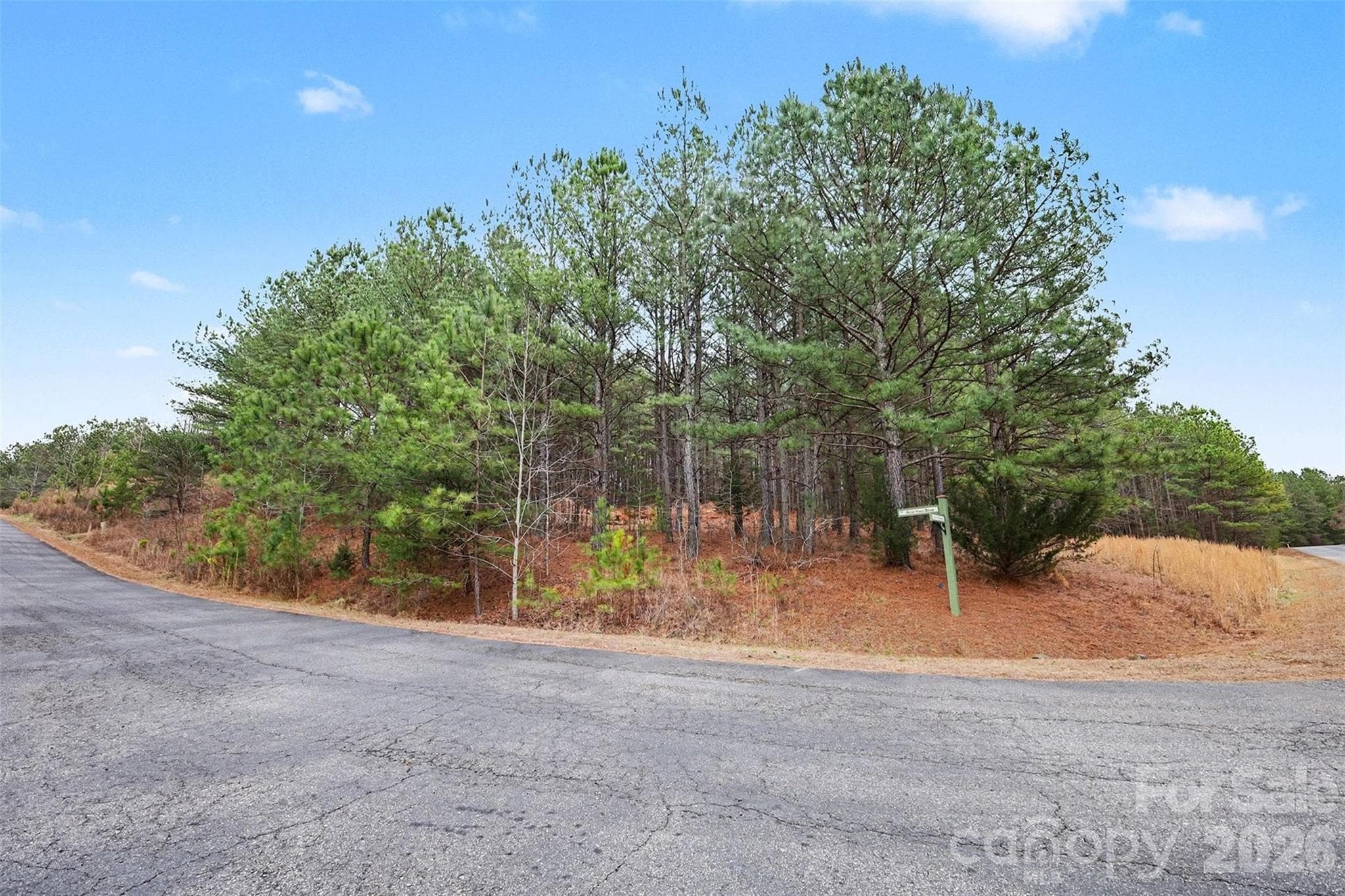 Lot at Mooresboro, photo 2 of 17