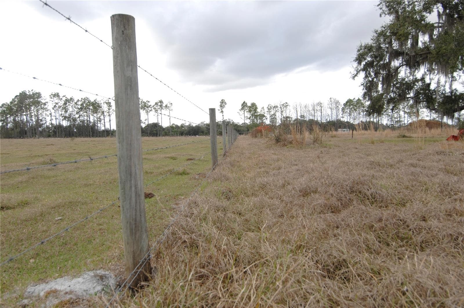 Land at 14780 SUGAR BOWL RD, MYAKKA CITY, photo 49 of 54