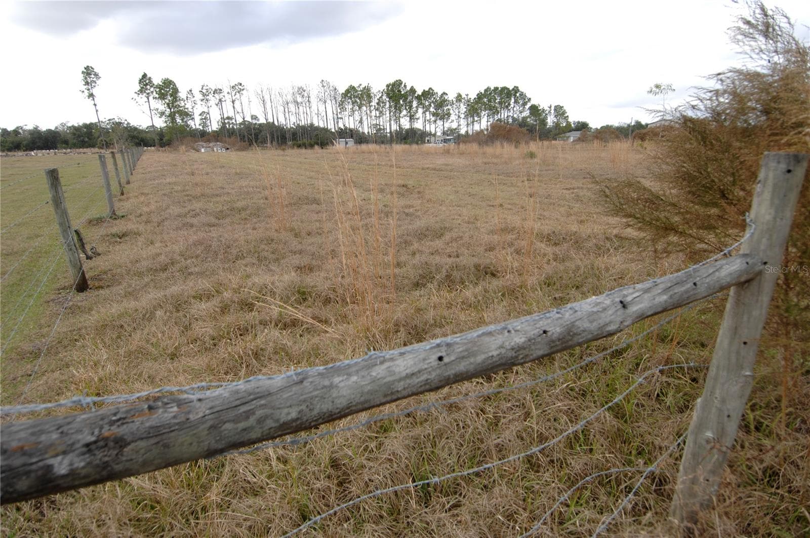 Land at 14780 SUGAR BOWL RD, MYAKKA CITY, photo 53 of 54