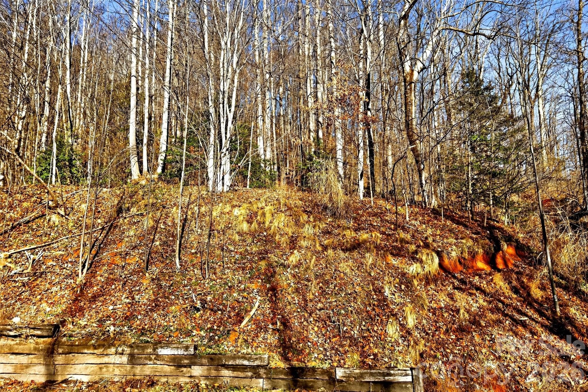 Acreage at Old Fort, photo 25 of 43